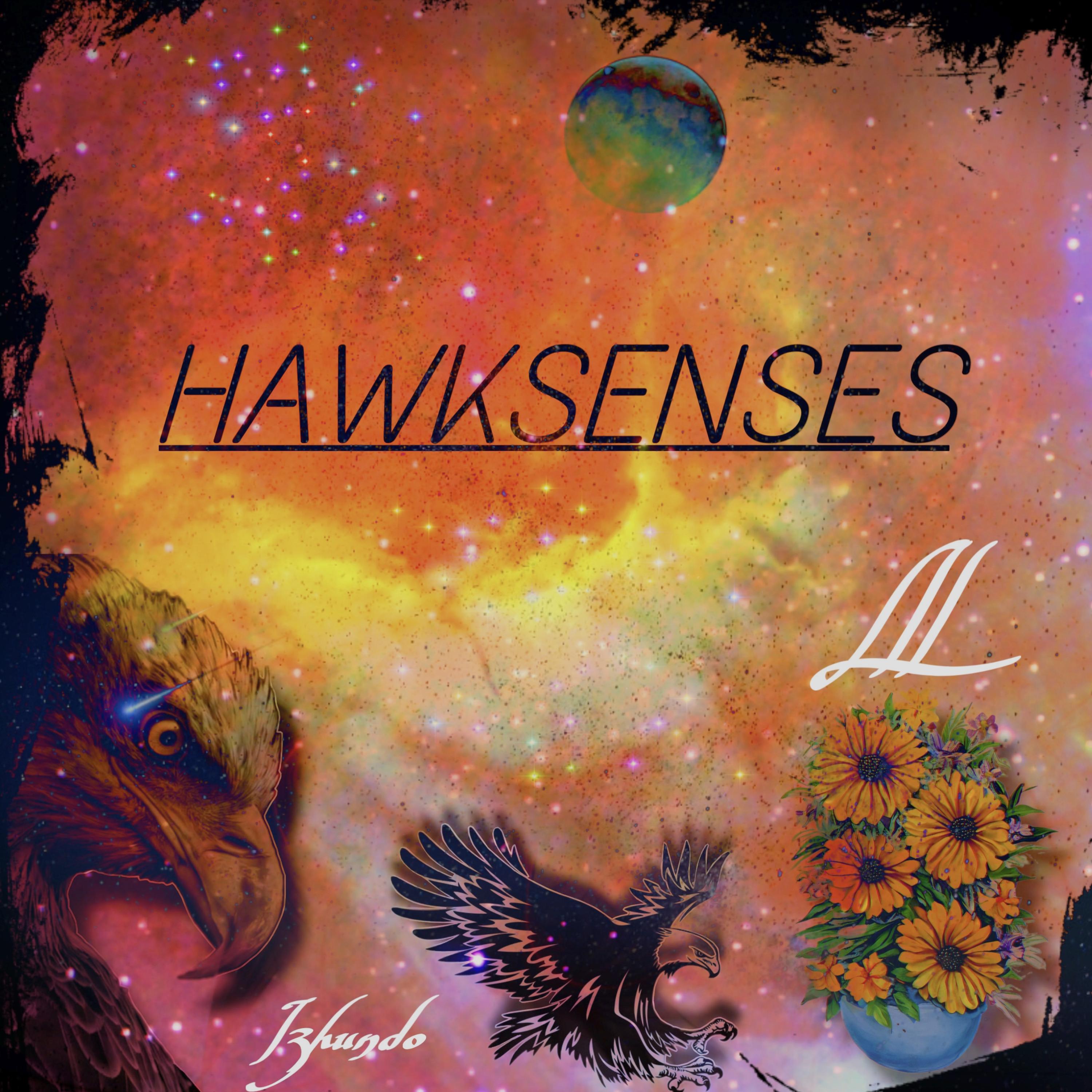 HawkSenses artwork