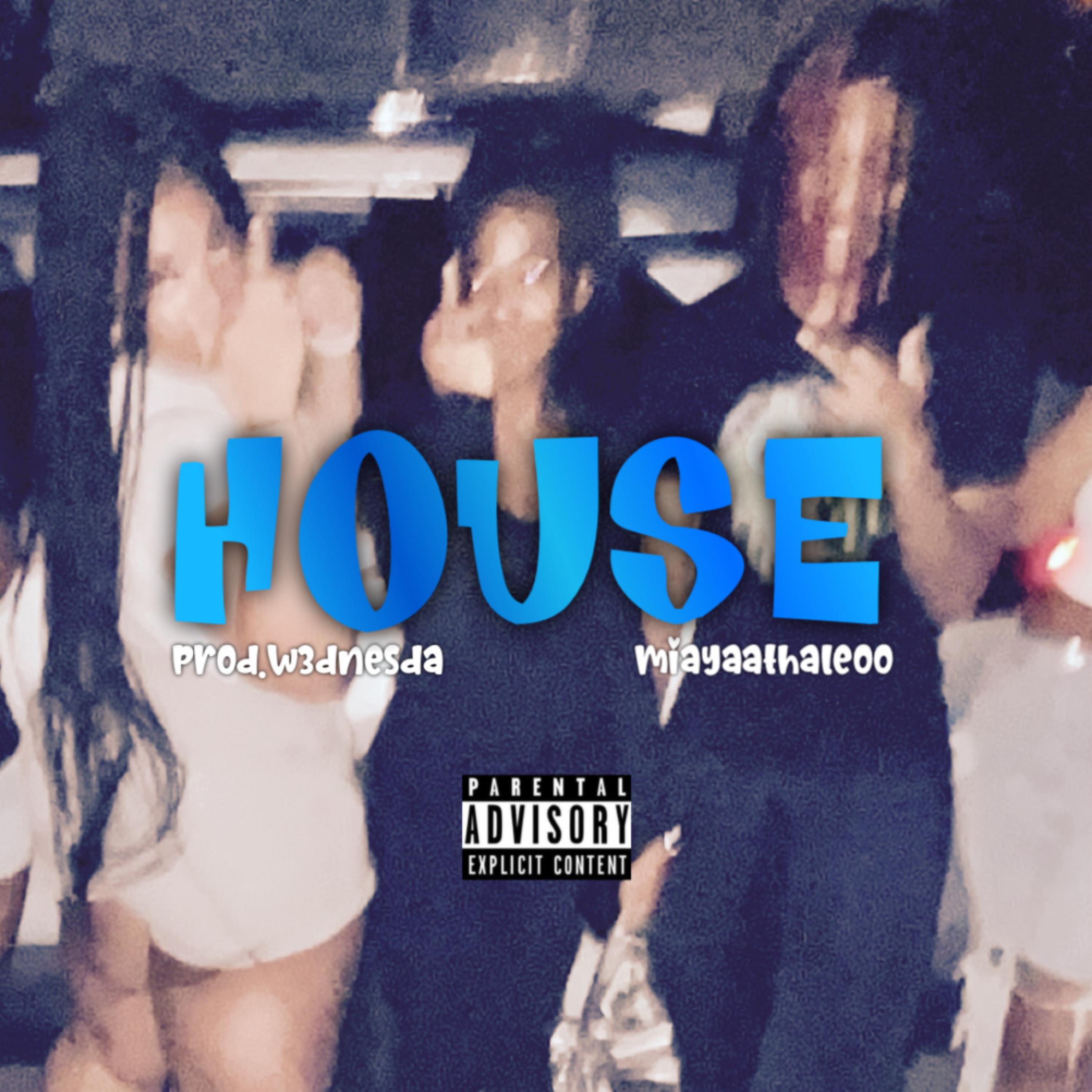HOUSE artwork