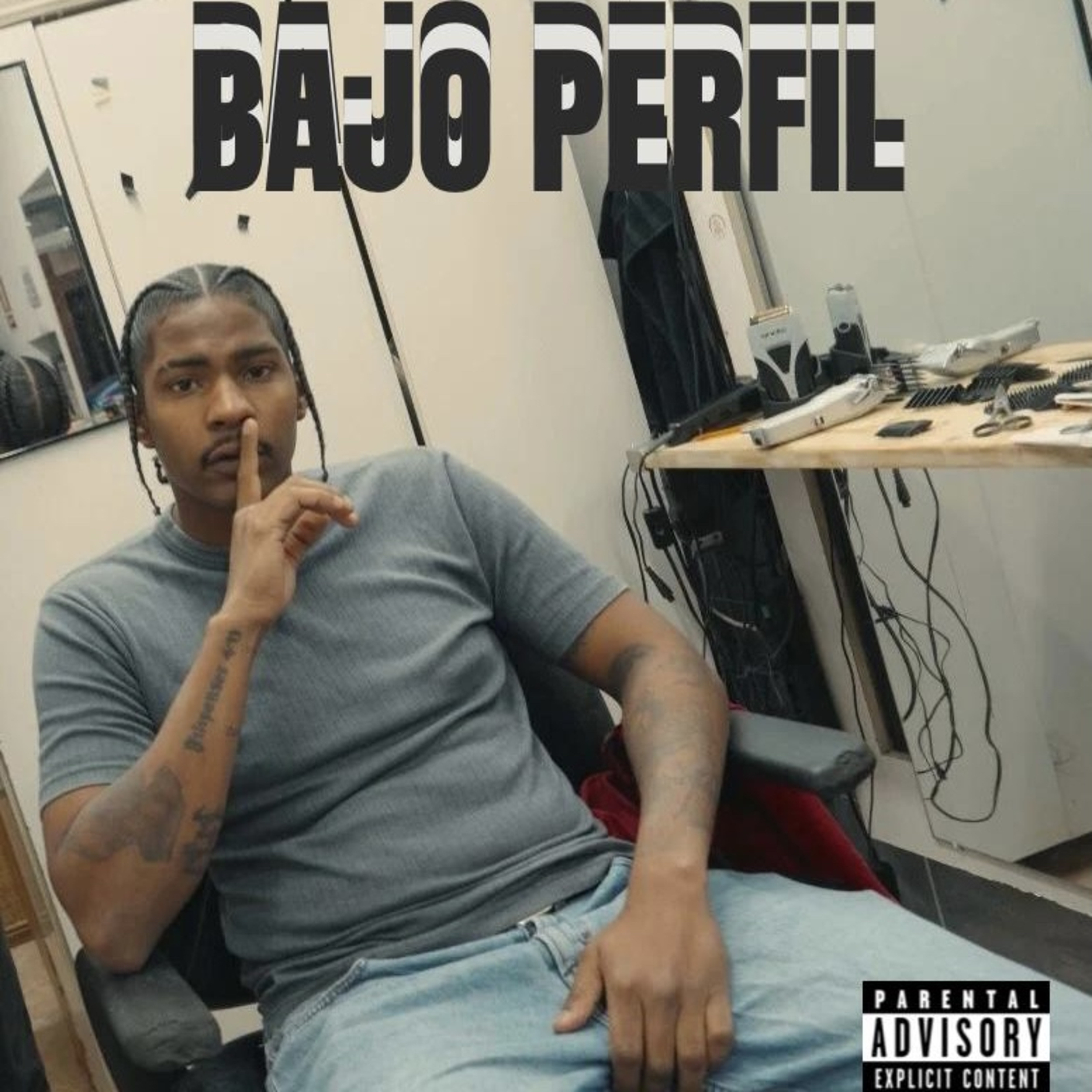 Bajo Perfil artwork