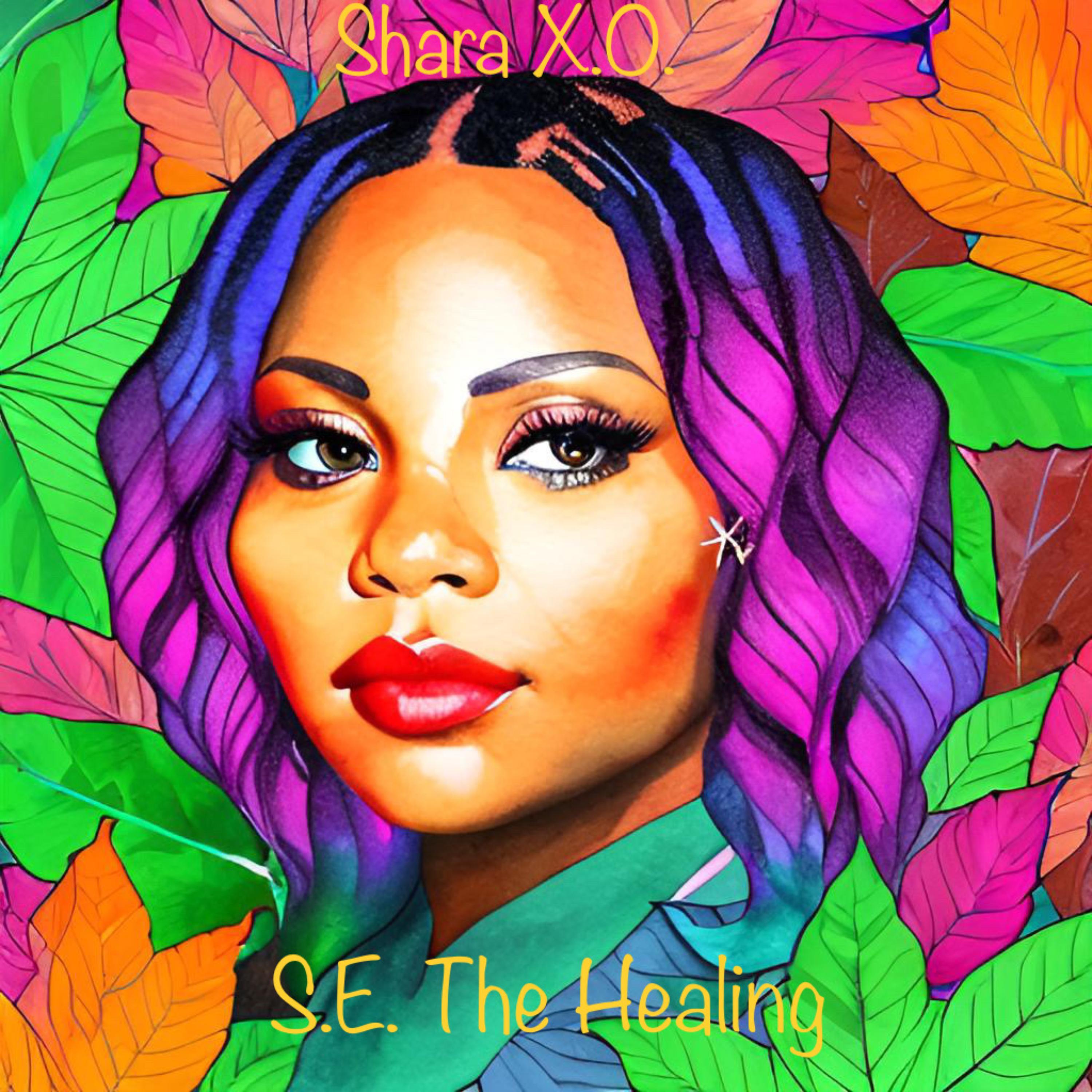 S.E. The Healing artwork