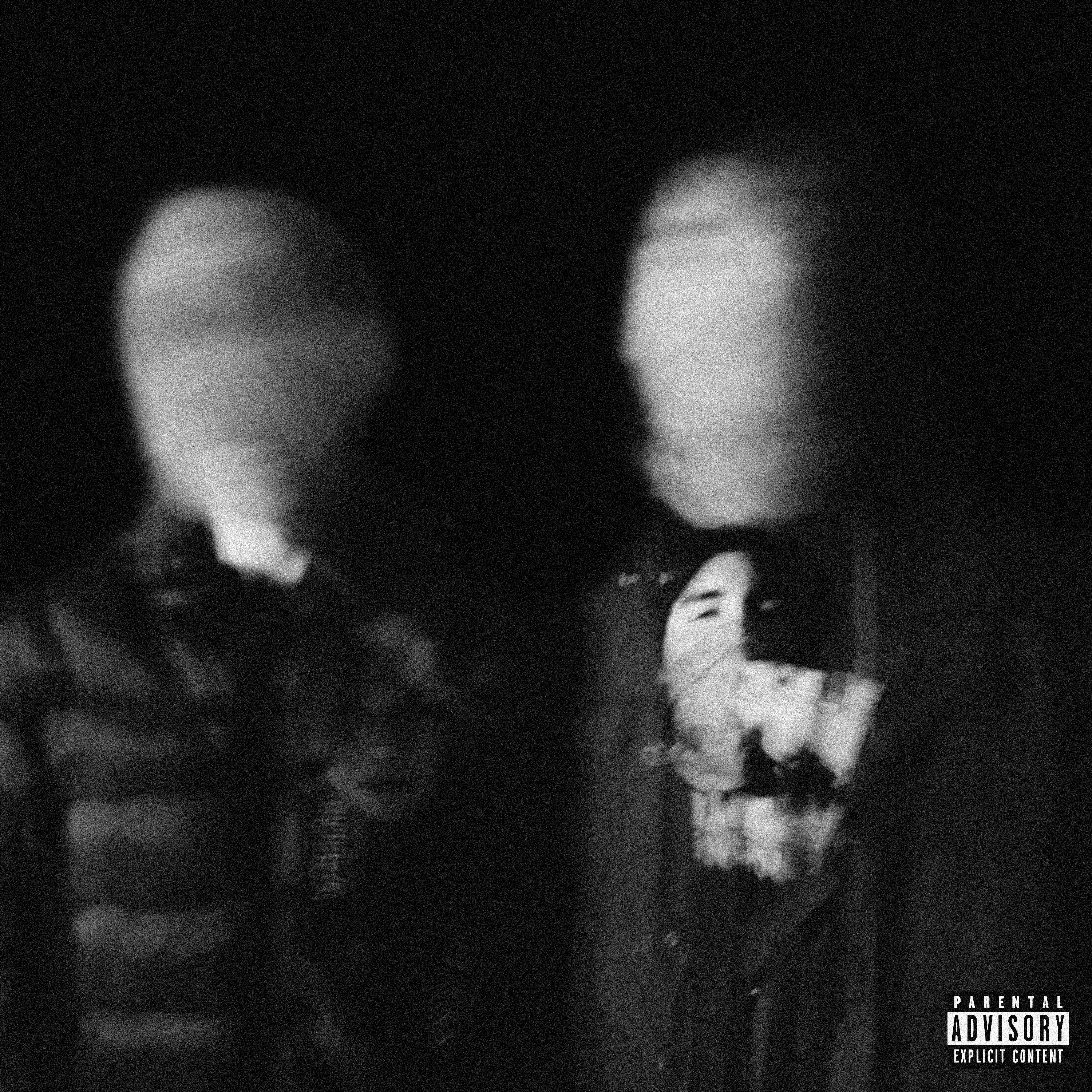 H A L L U C I N A T I O N artwork