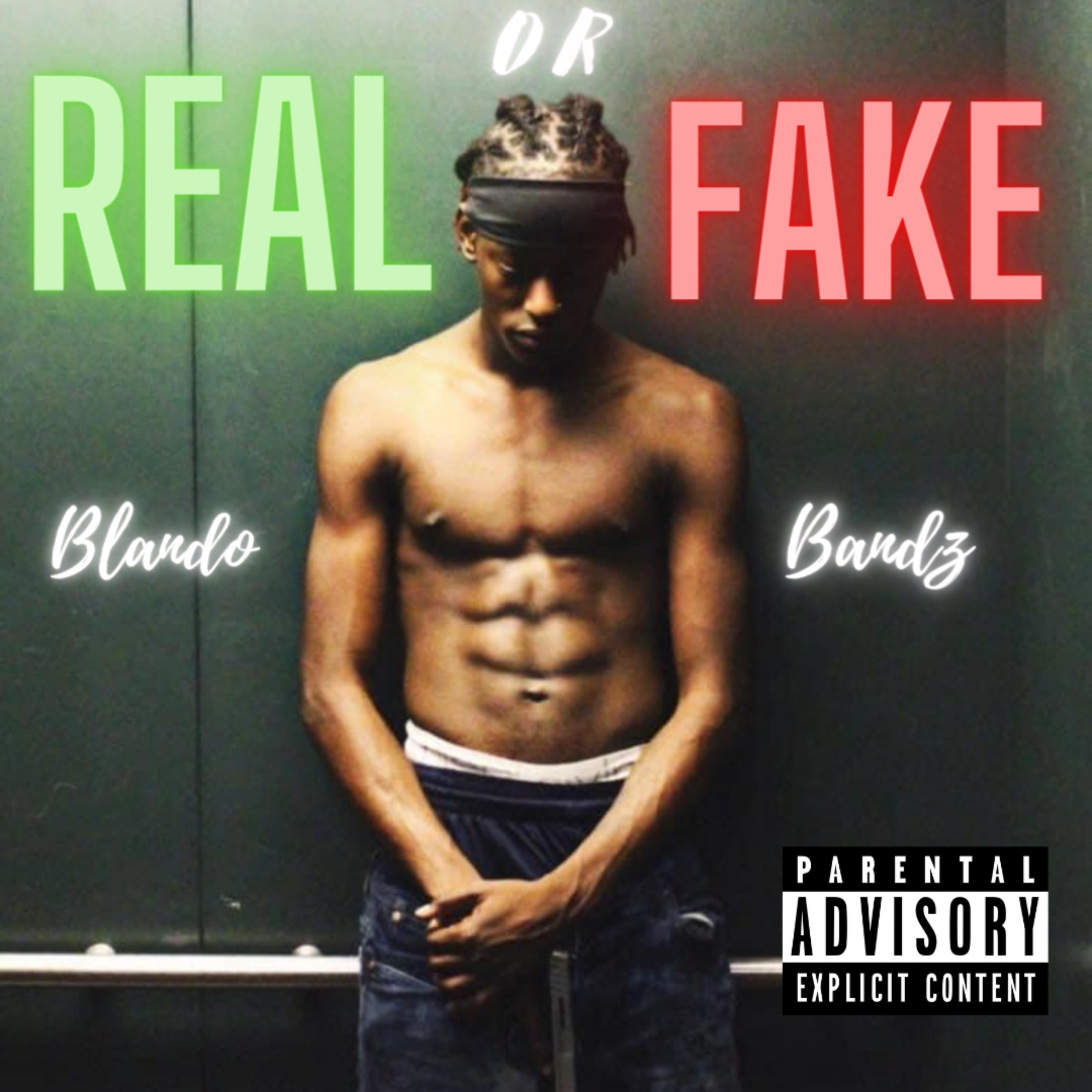 Real Or Fake artwork