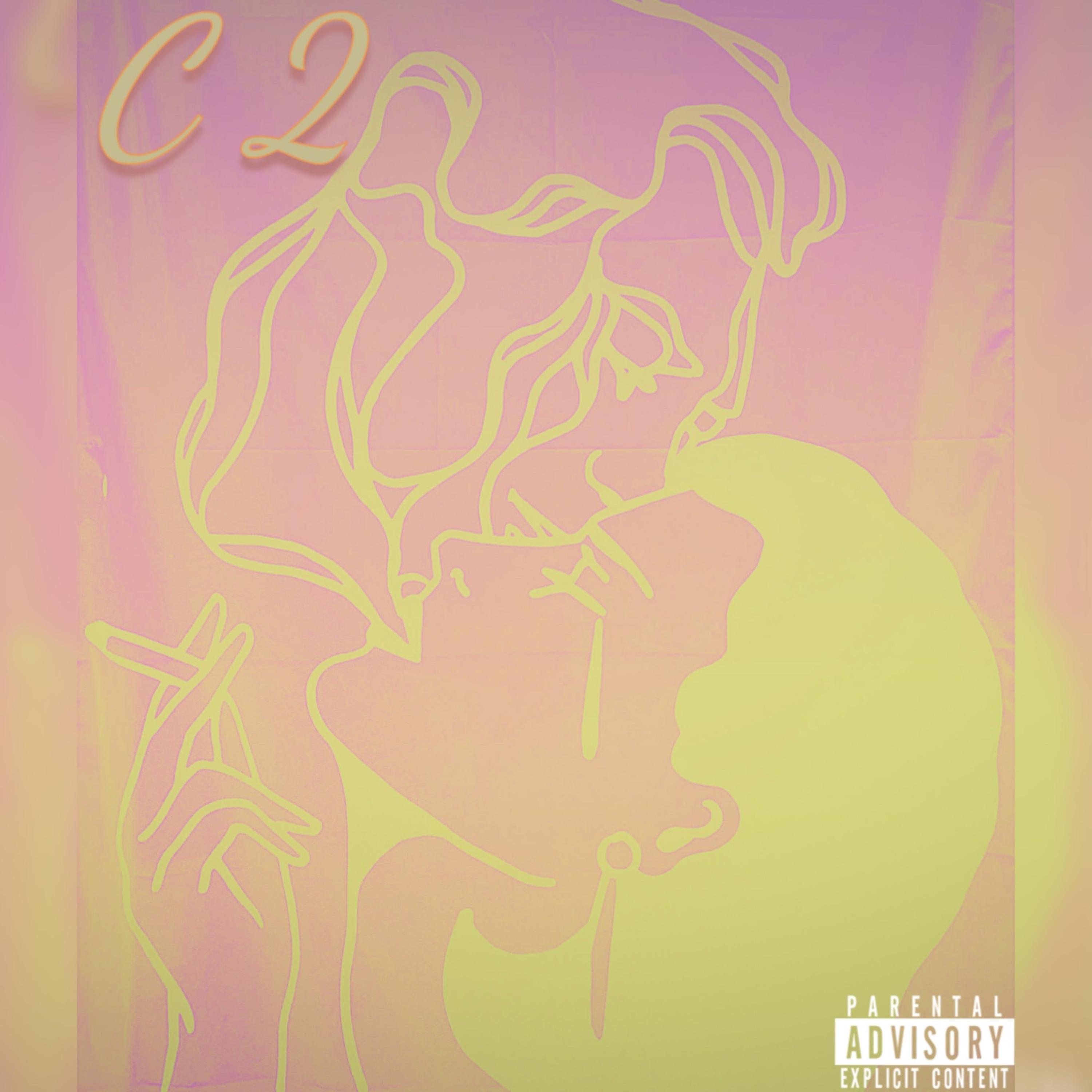 C 2 artwork