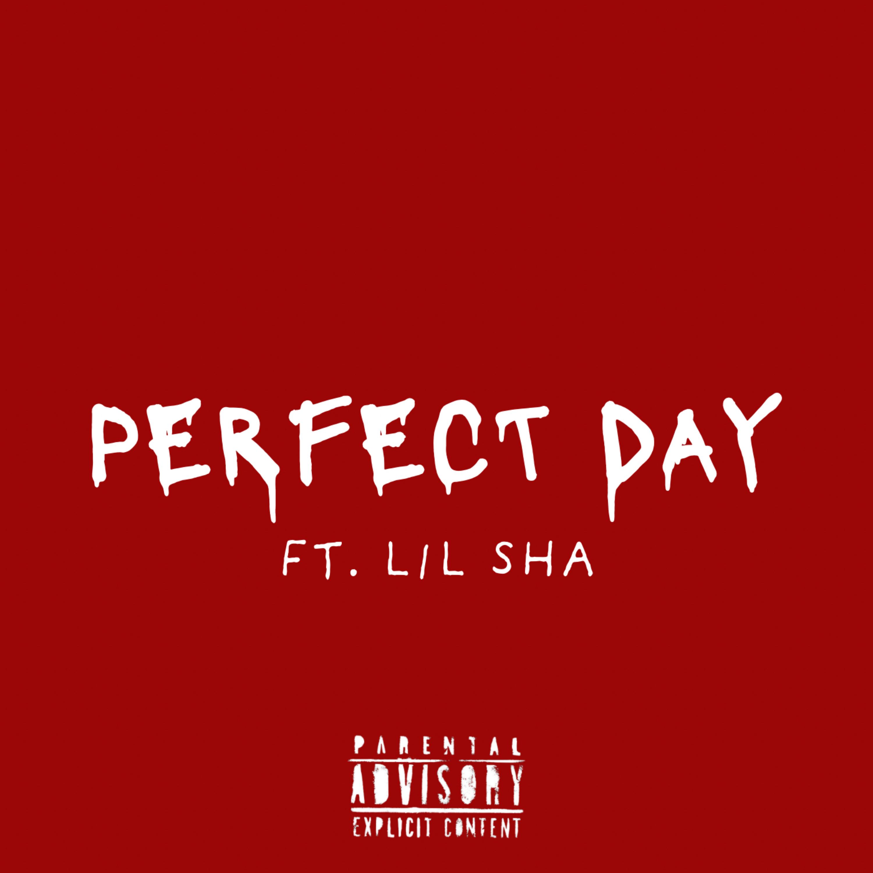 Perfect Day by G3DUHH cover art