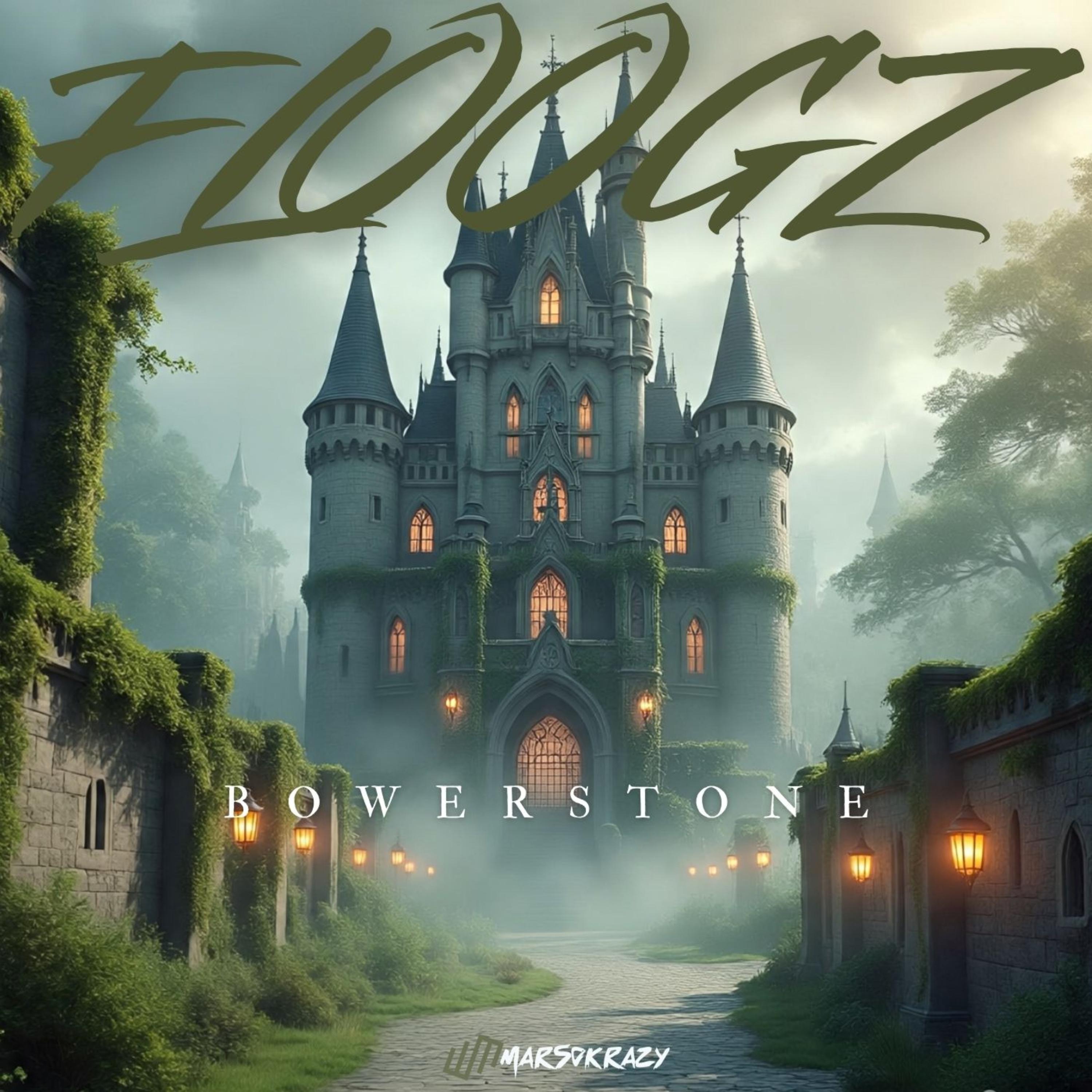 FLOOGZ BOWERSTONE artwork