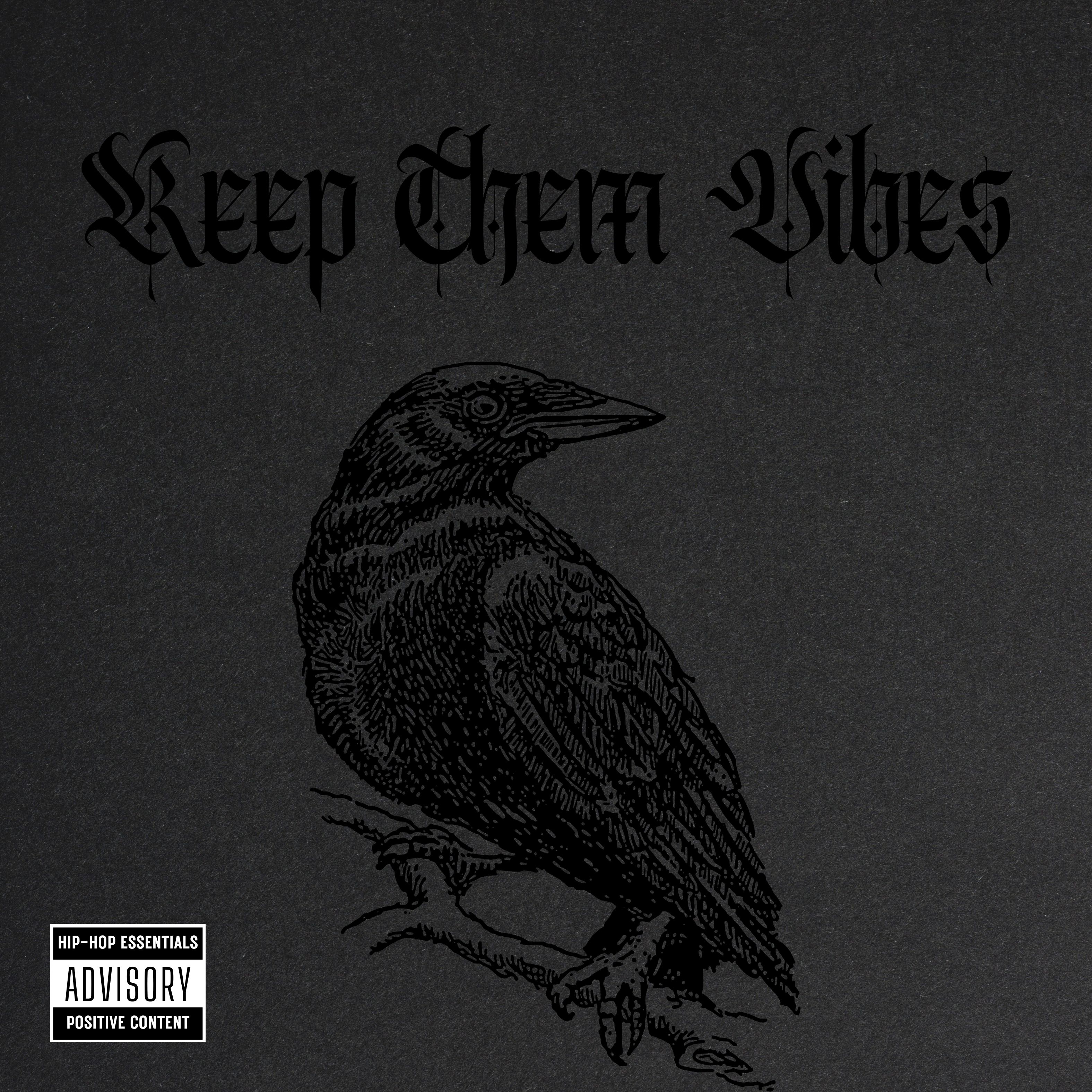 Keep Them Vibes artwork