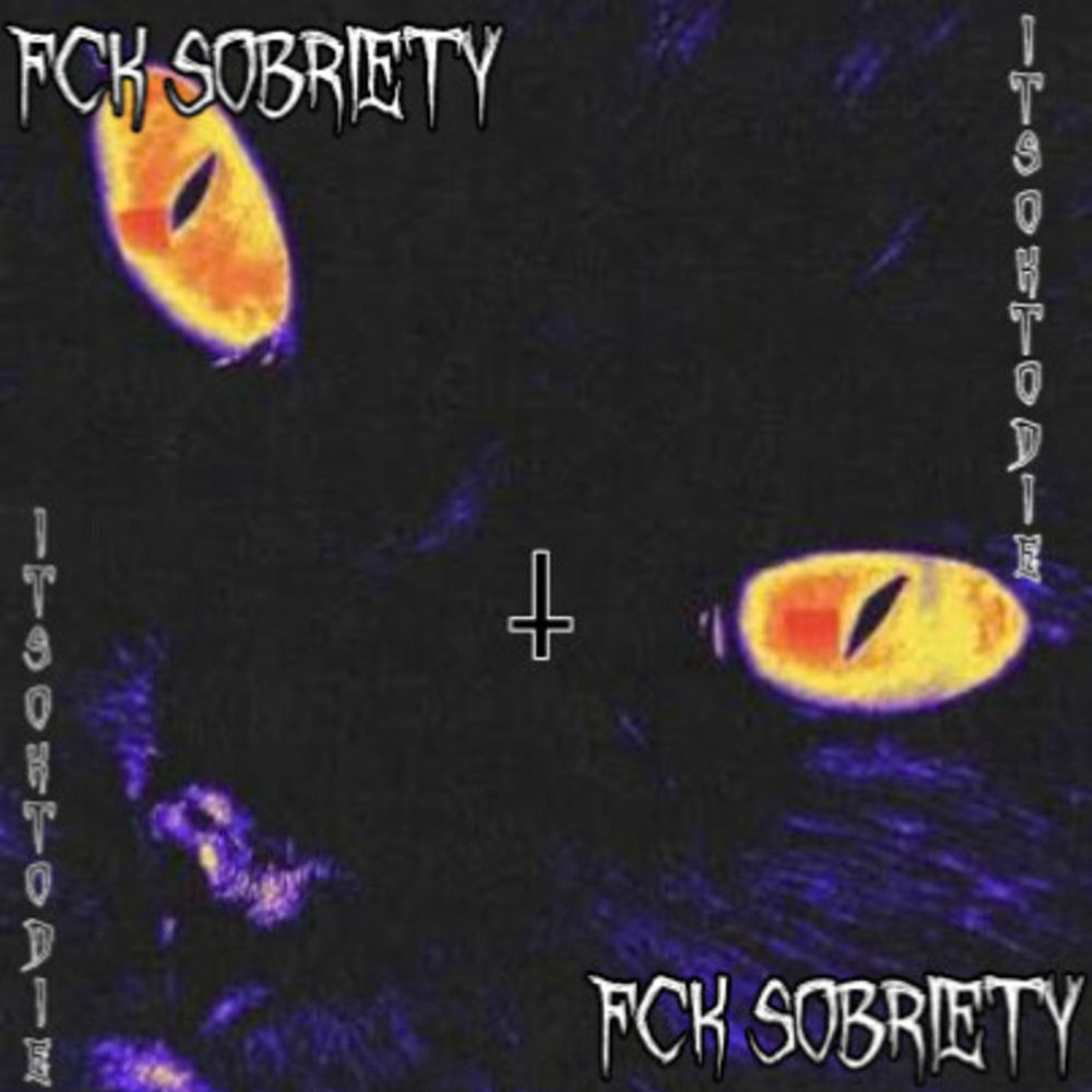 FCK SOBRIETY artwork