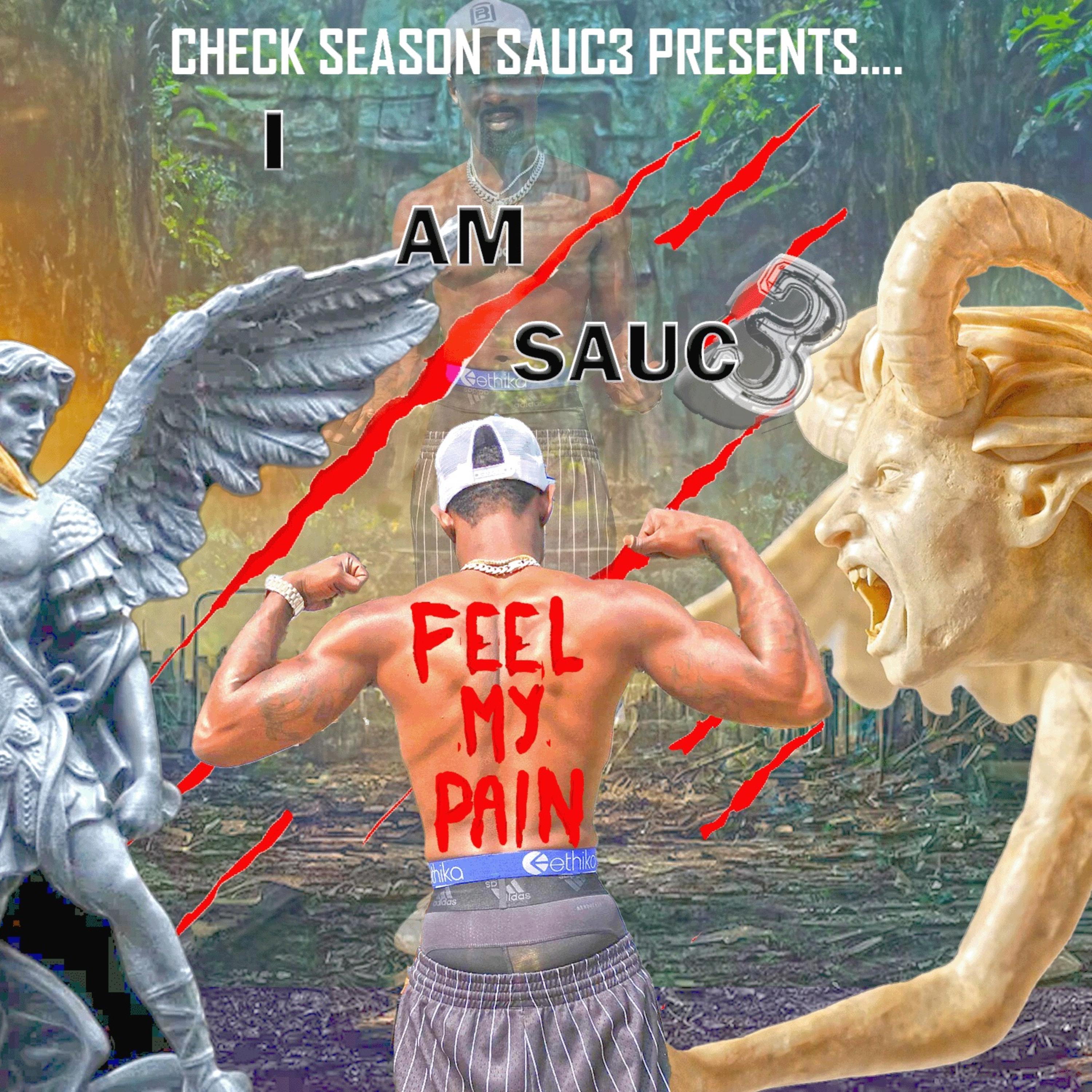 I Am Sauc3 Feel My Pain artwork