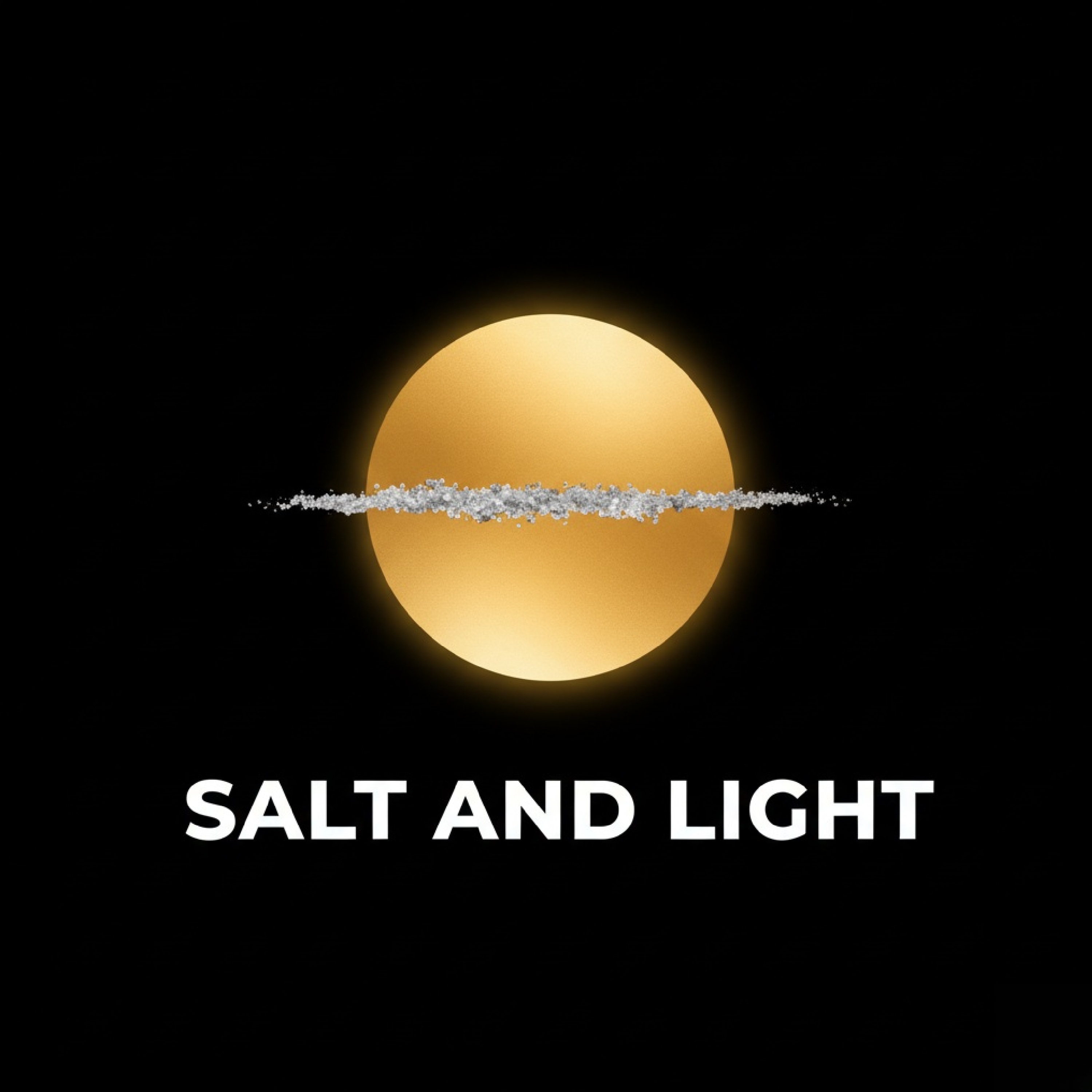 SALT AND LIGHT artwork