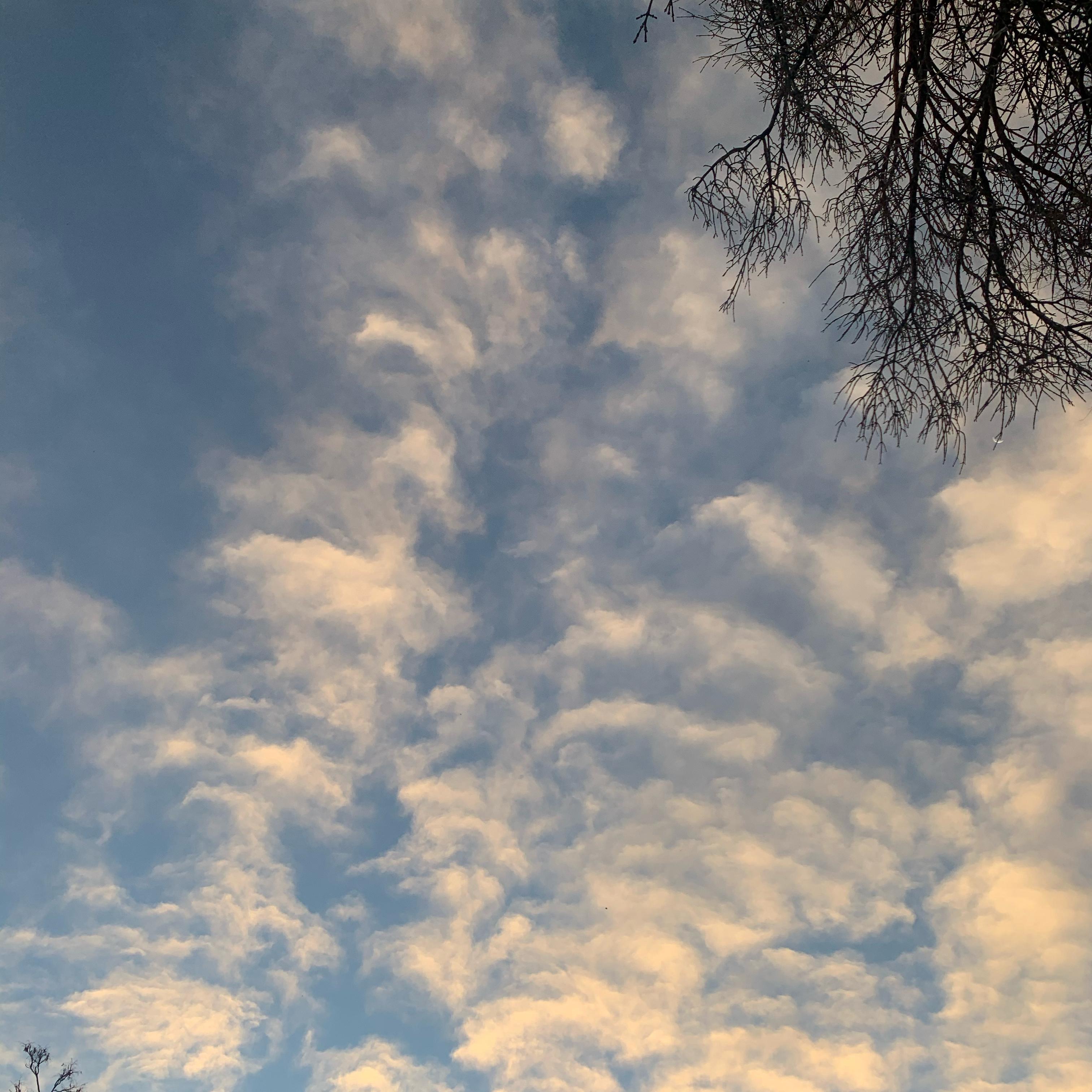 In The Clouds artwork