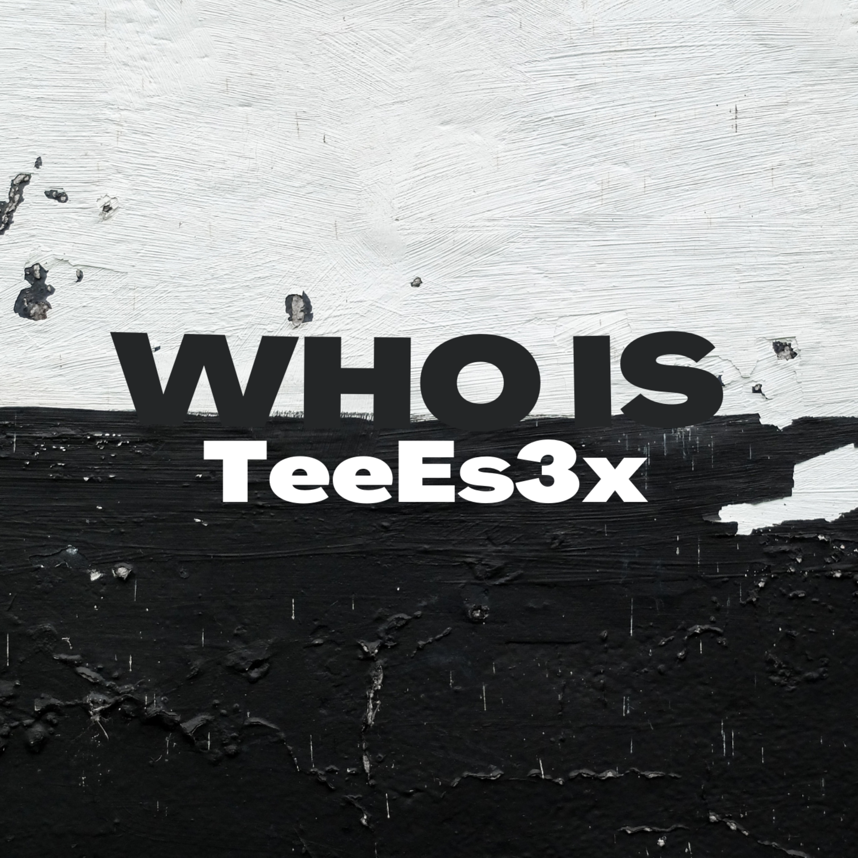 Who is TeeEs3x artwork