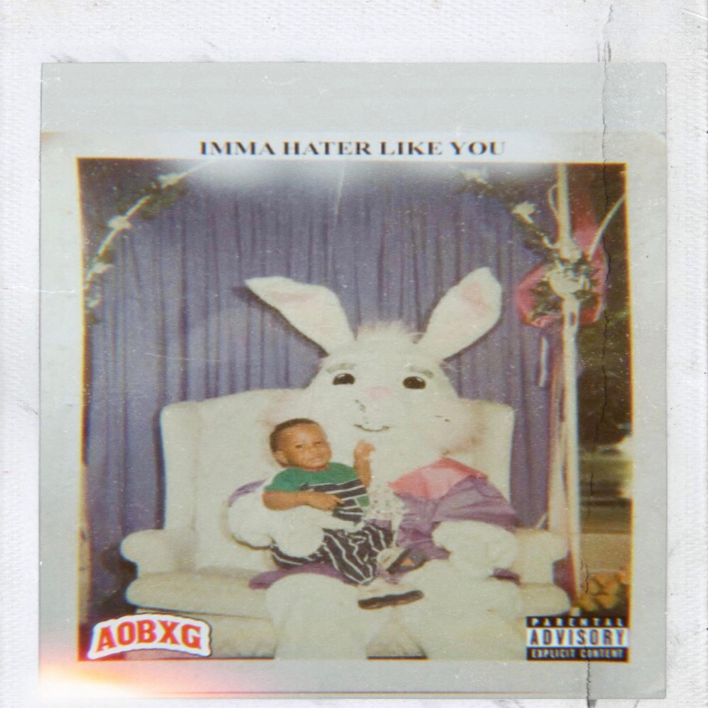 Imma Hater Like You artwork