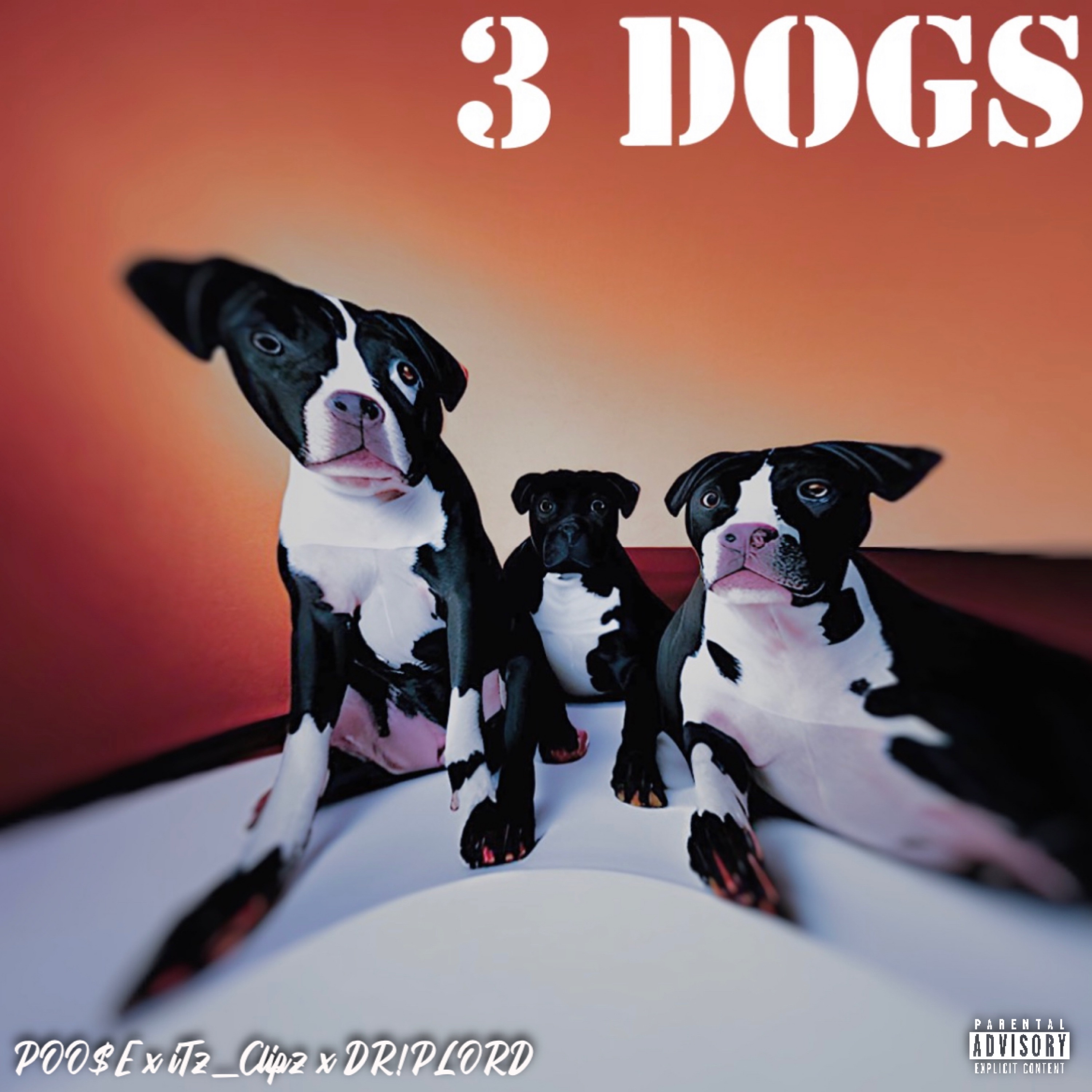 3 Dogs artwork