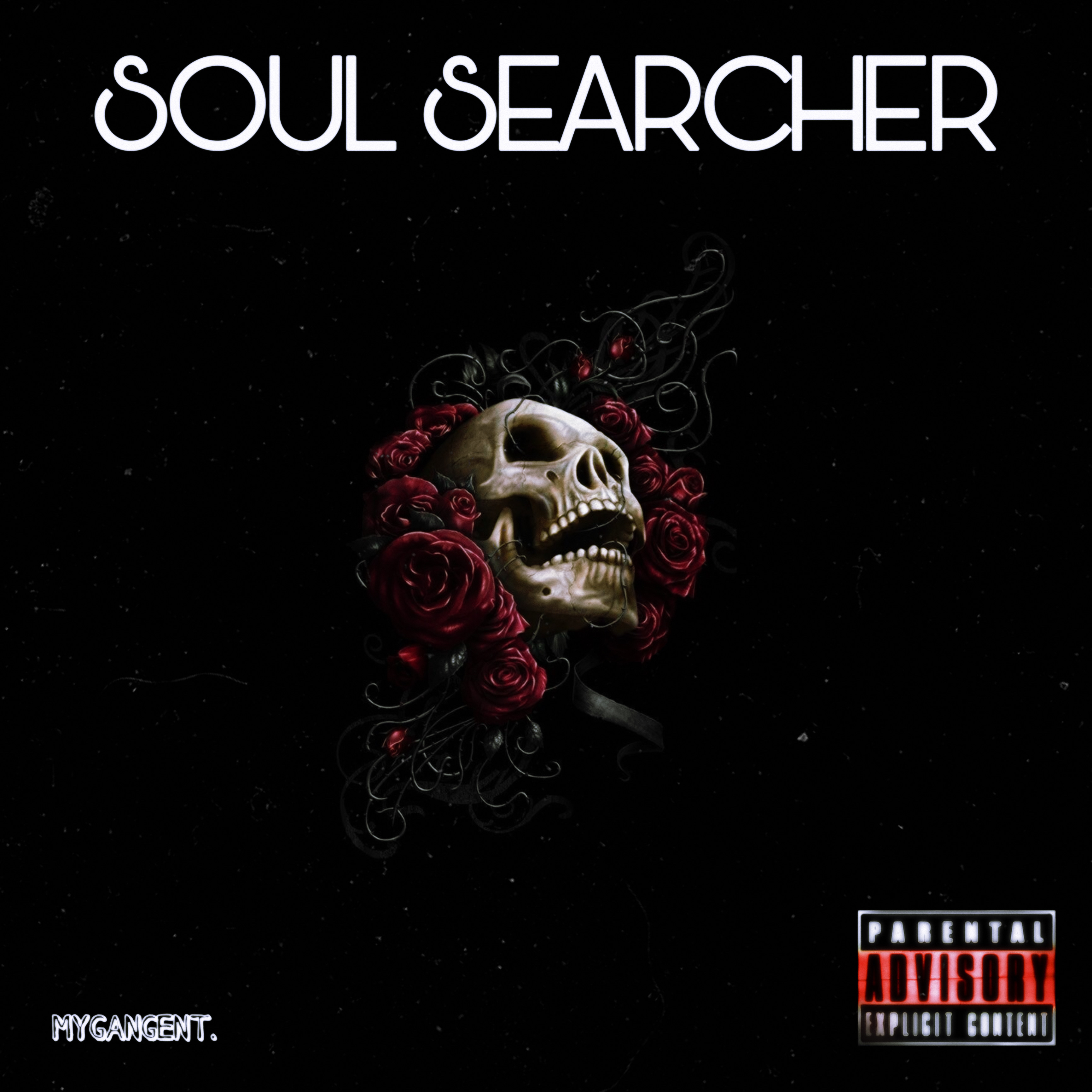 SOUL SEARCHER artwork