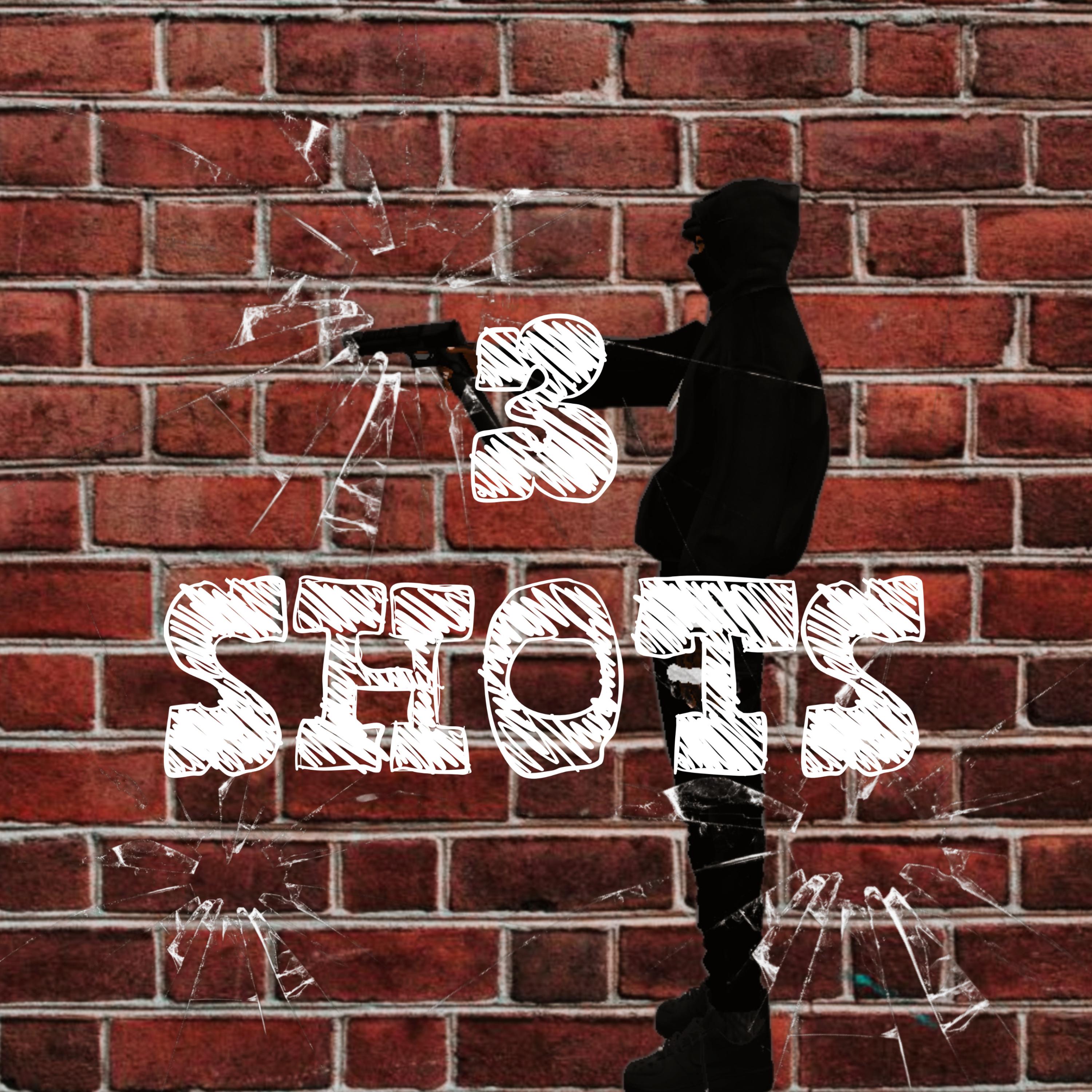 3 SHOTS artwork
