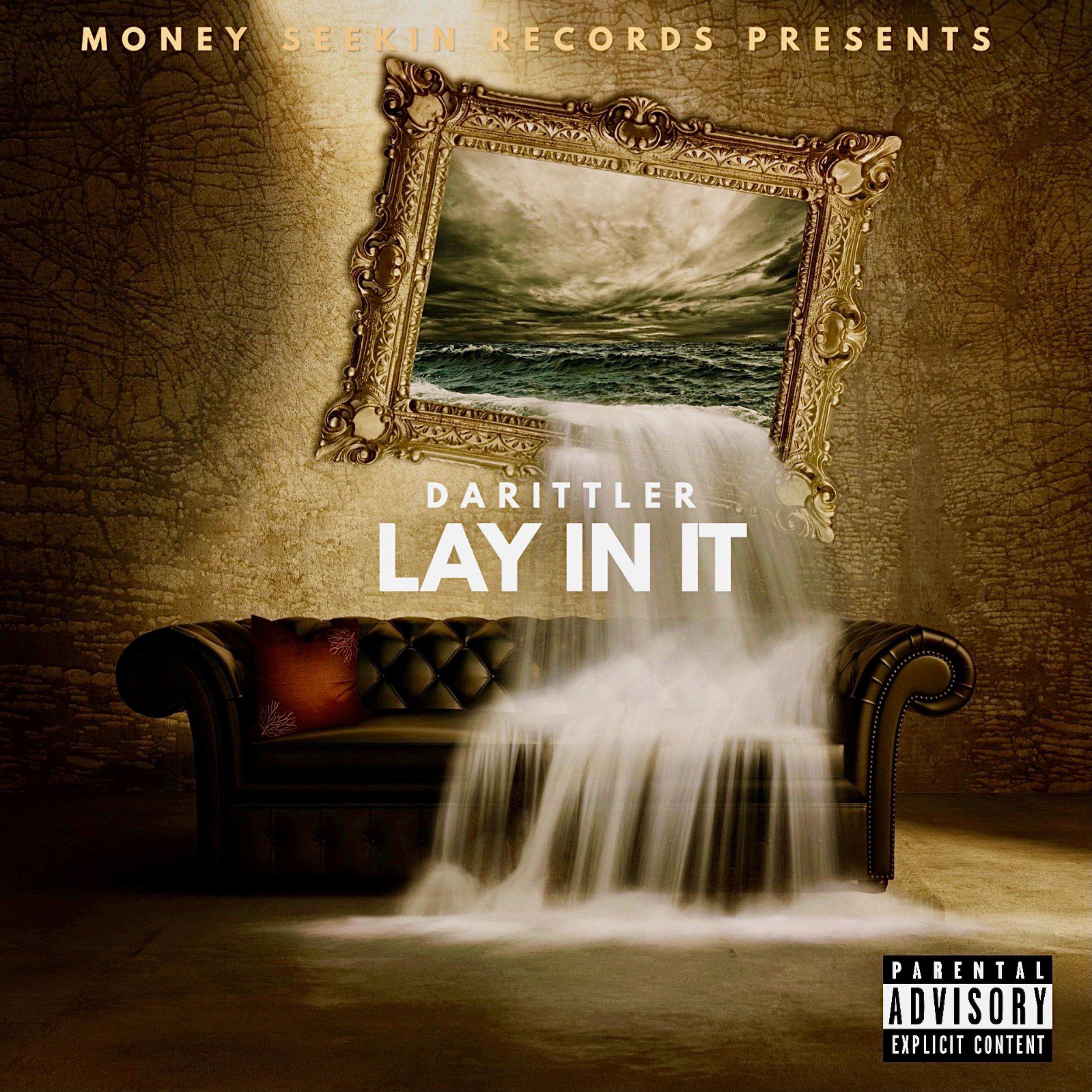 LAY IN IT by Darittler cover art