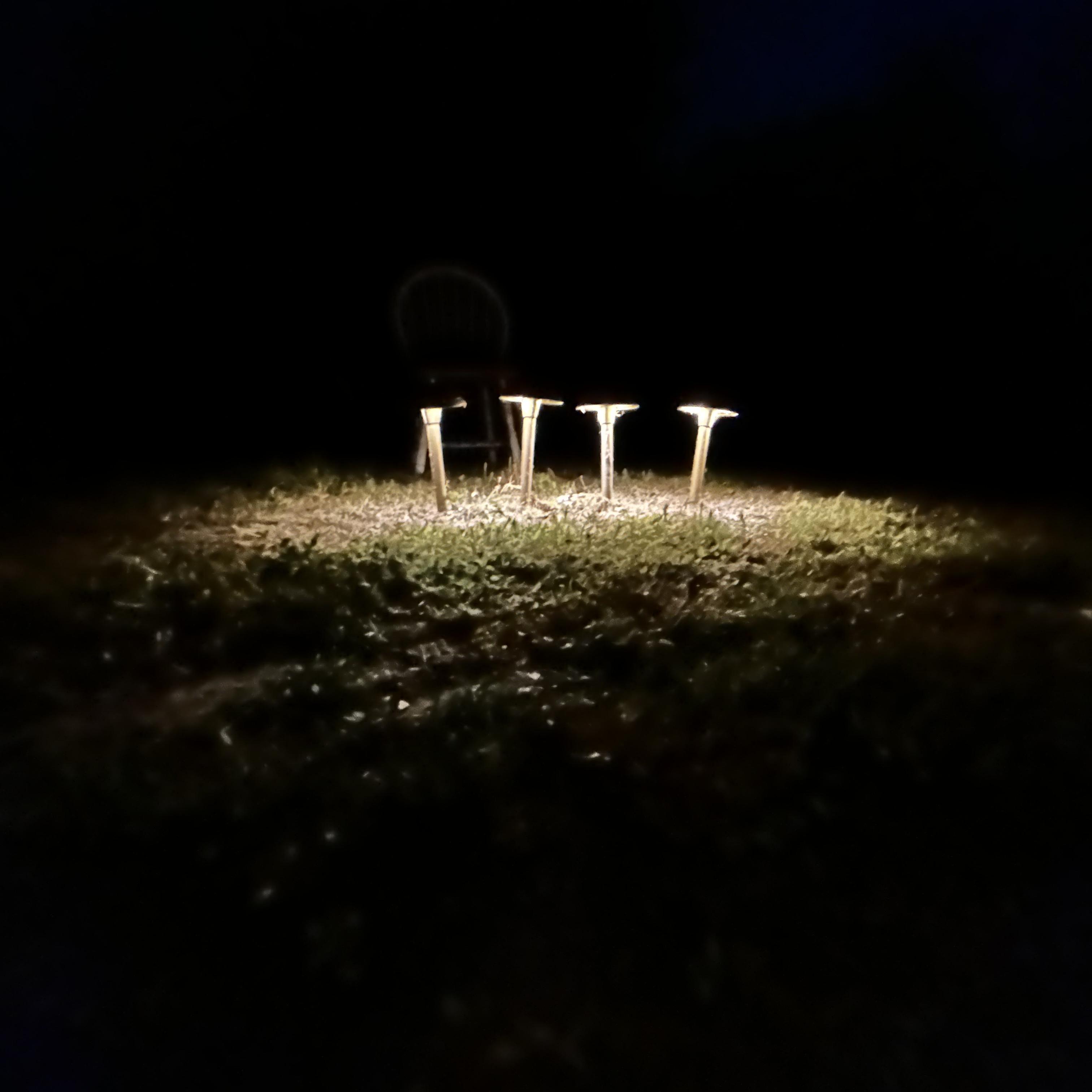 Beauty in Now artwork
