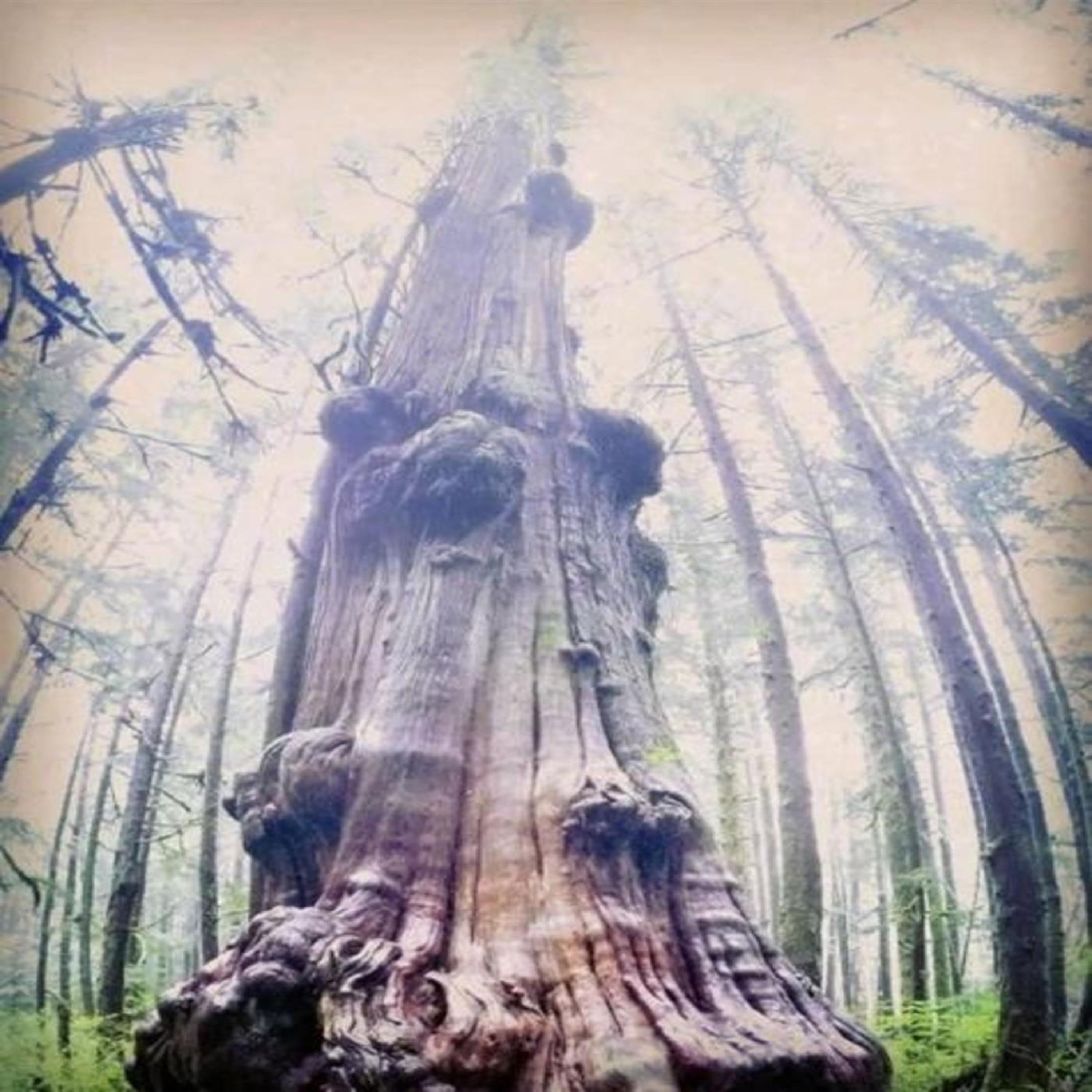 A Whole New World artwork