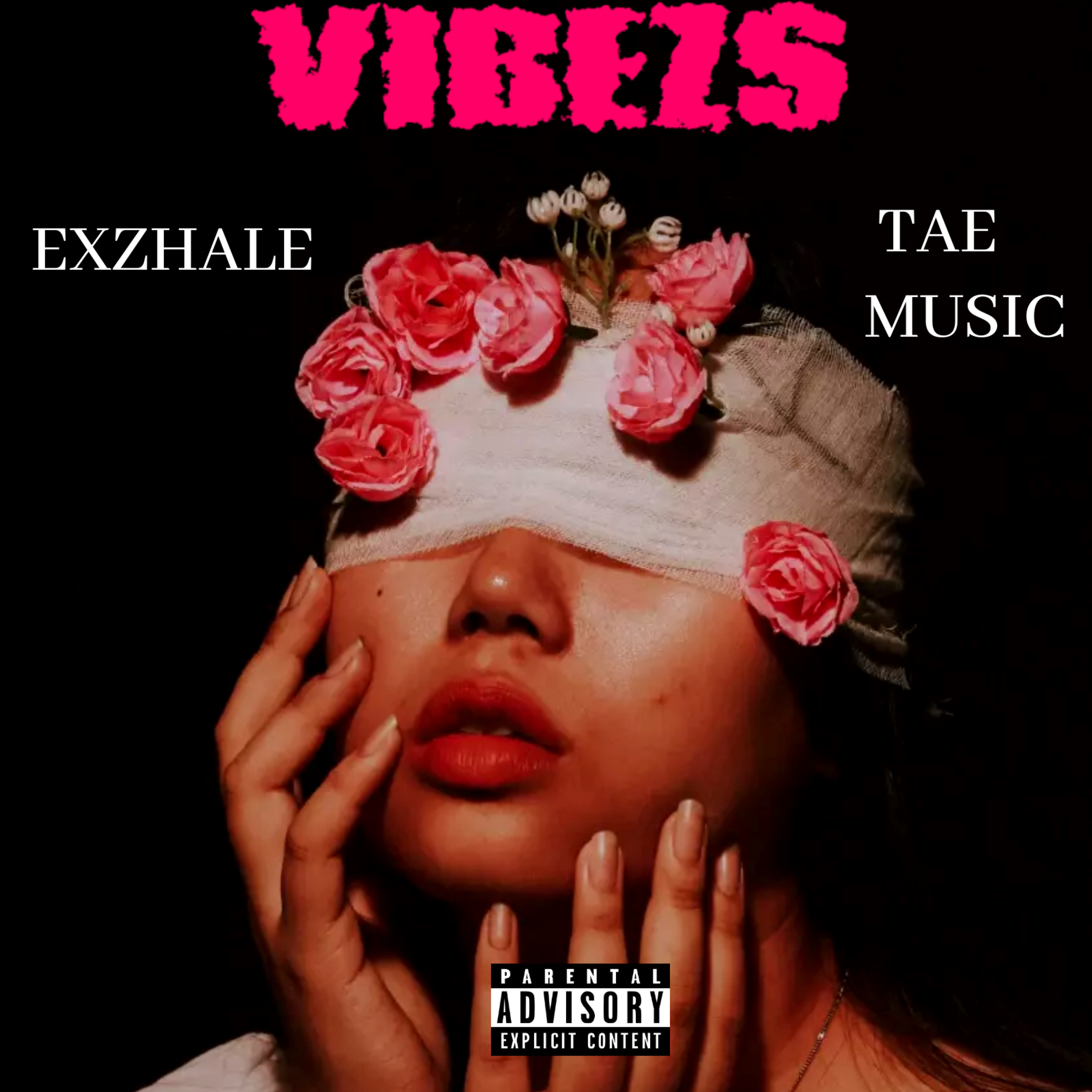 VIBEZS artwork