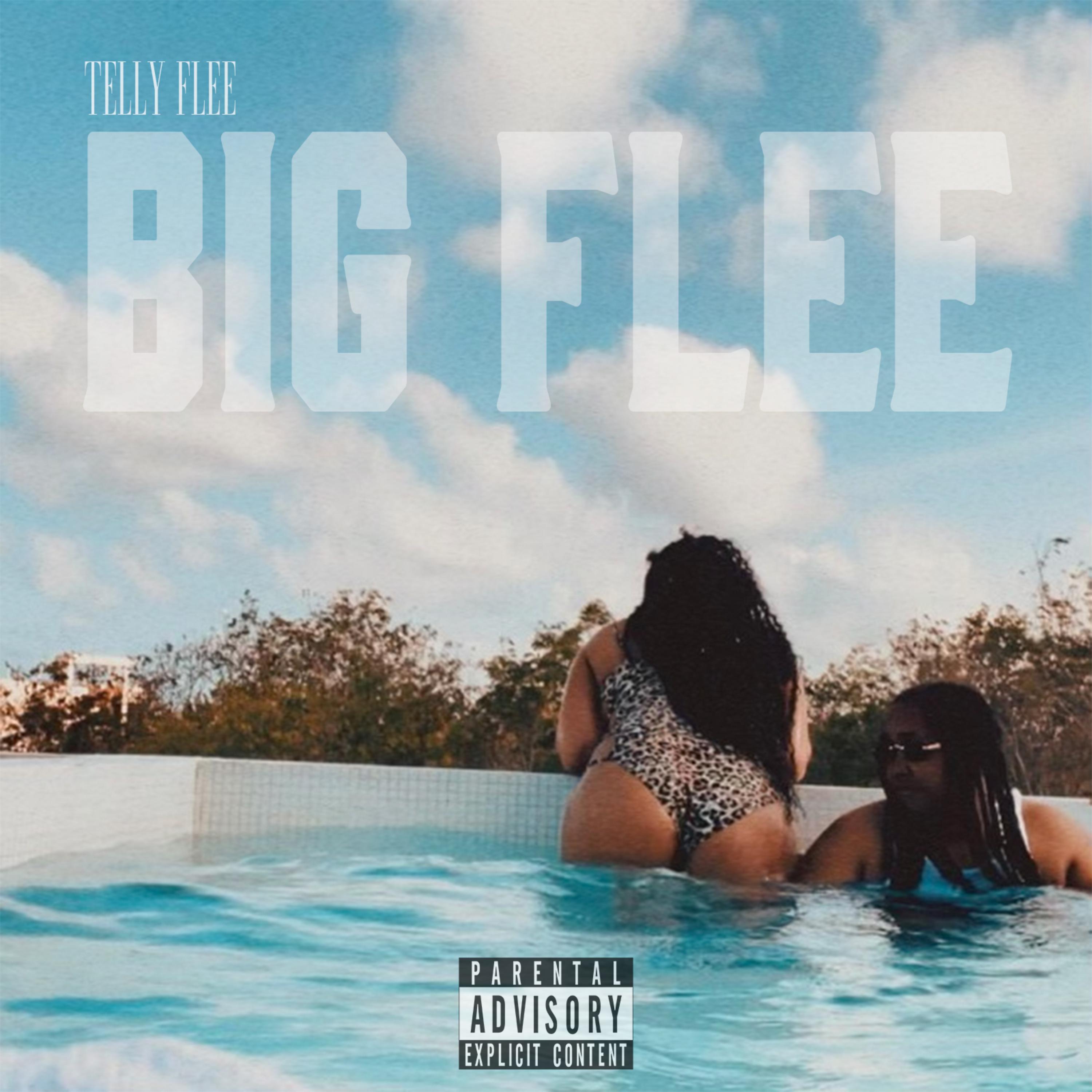 Silent by Telly Flee cover art