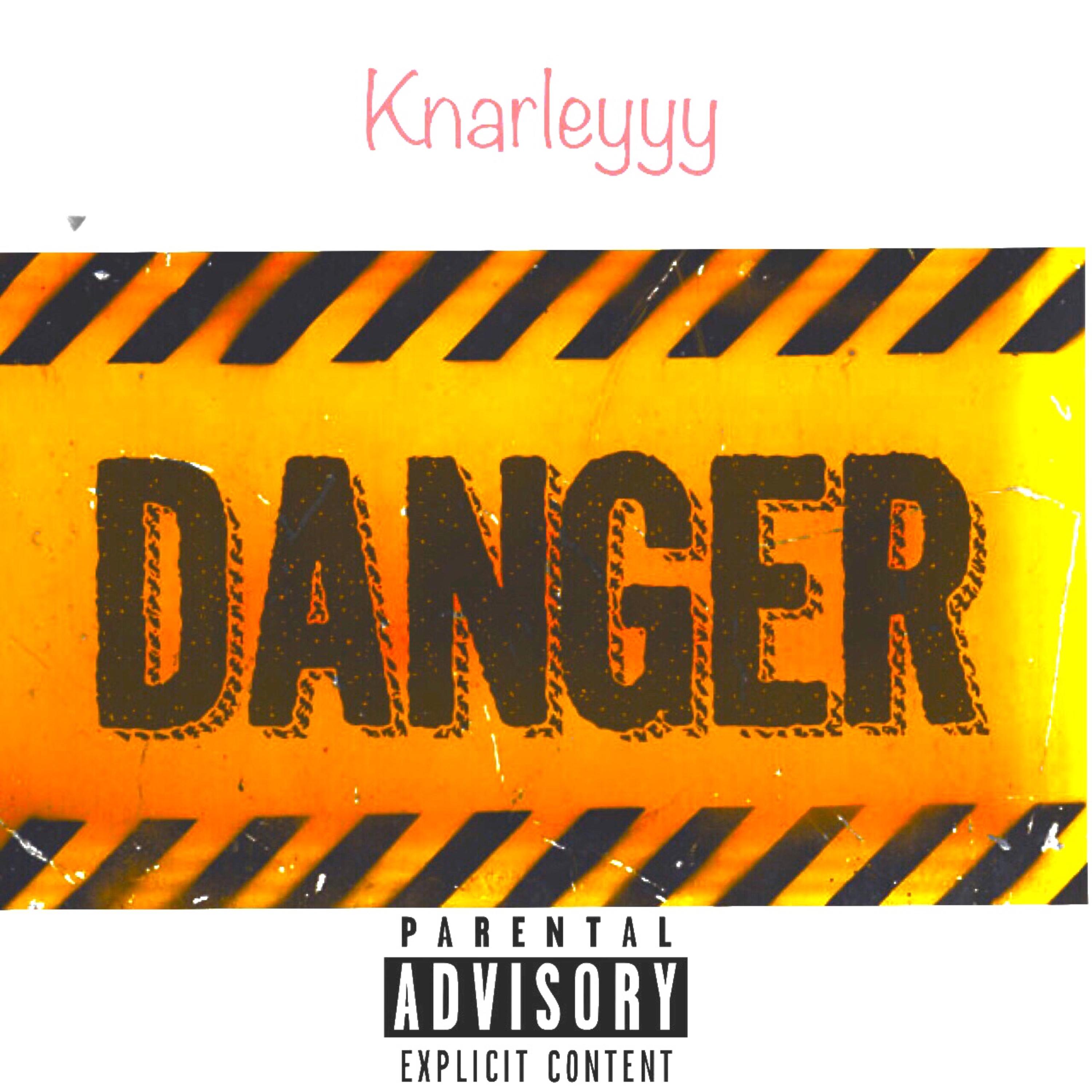 Danger by Knarleyyy cover art