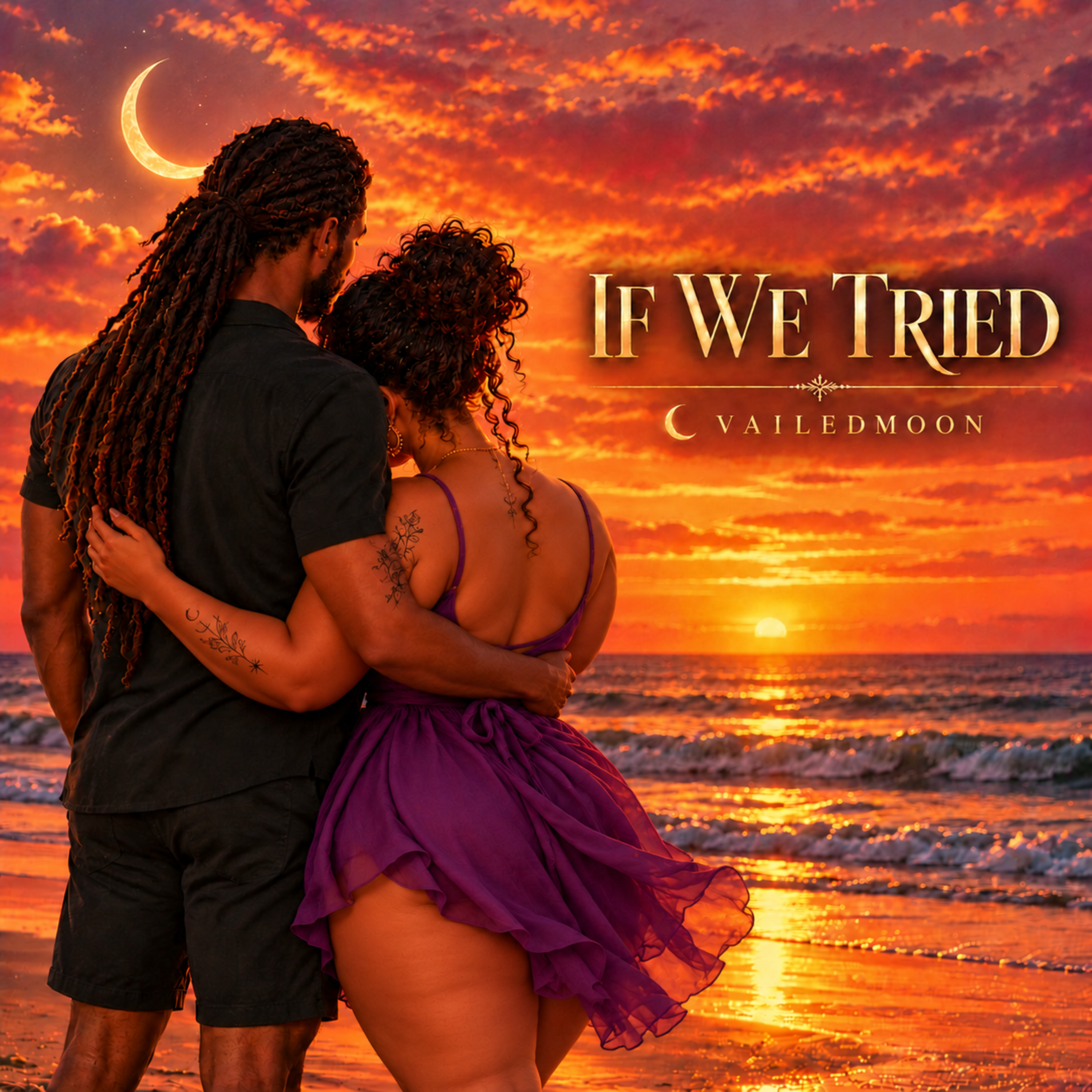 if we tried by vailedmoon cover art