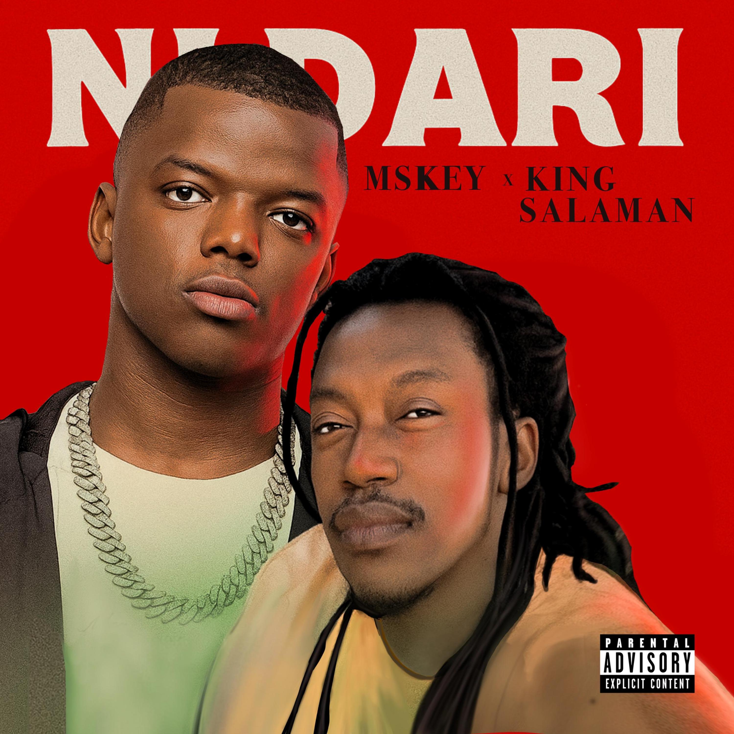Nidari artwork
