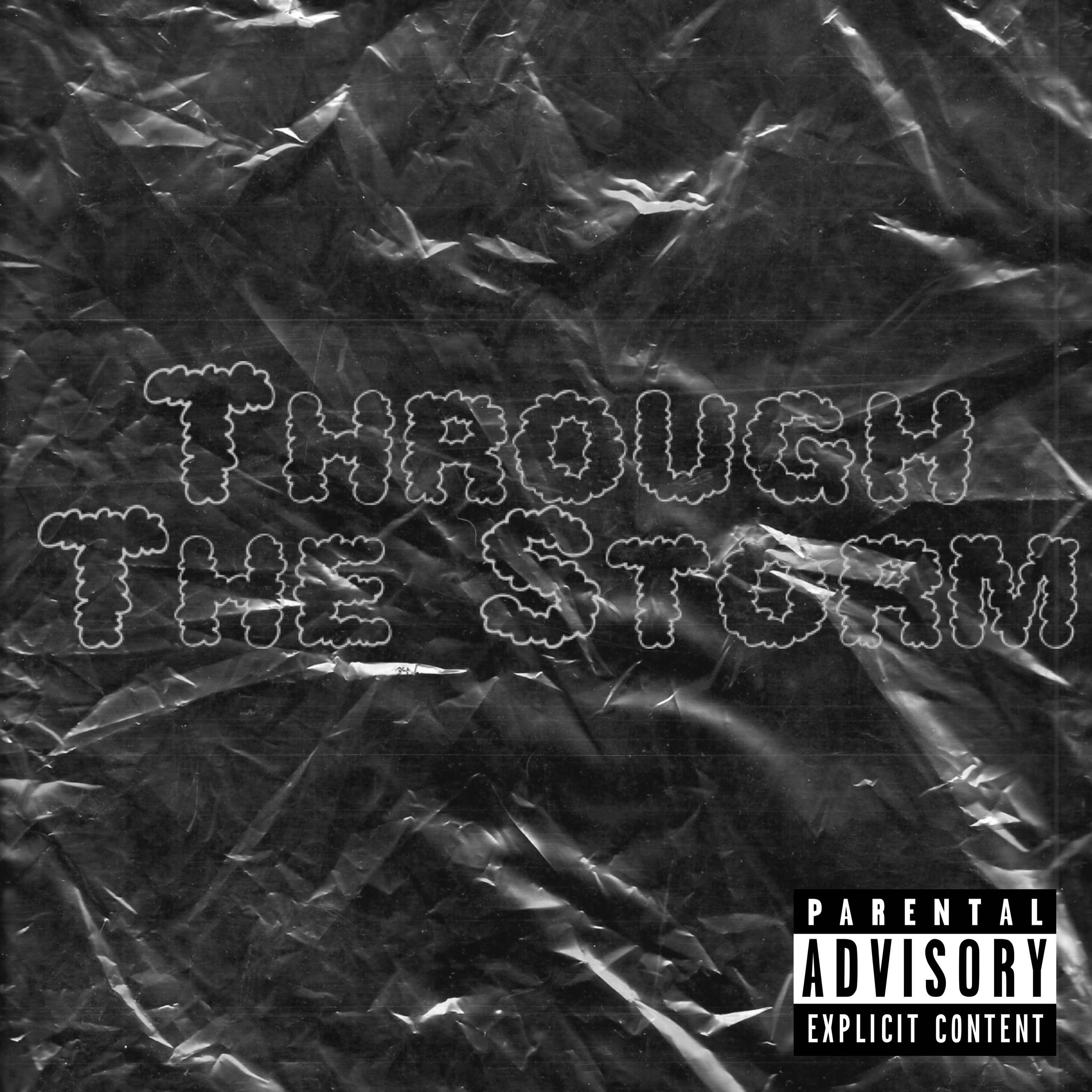 Through The Storm artwork