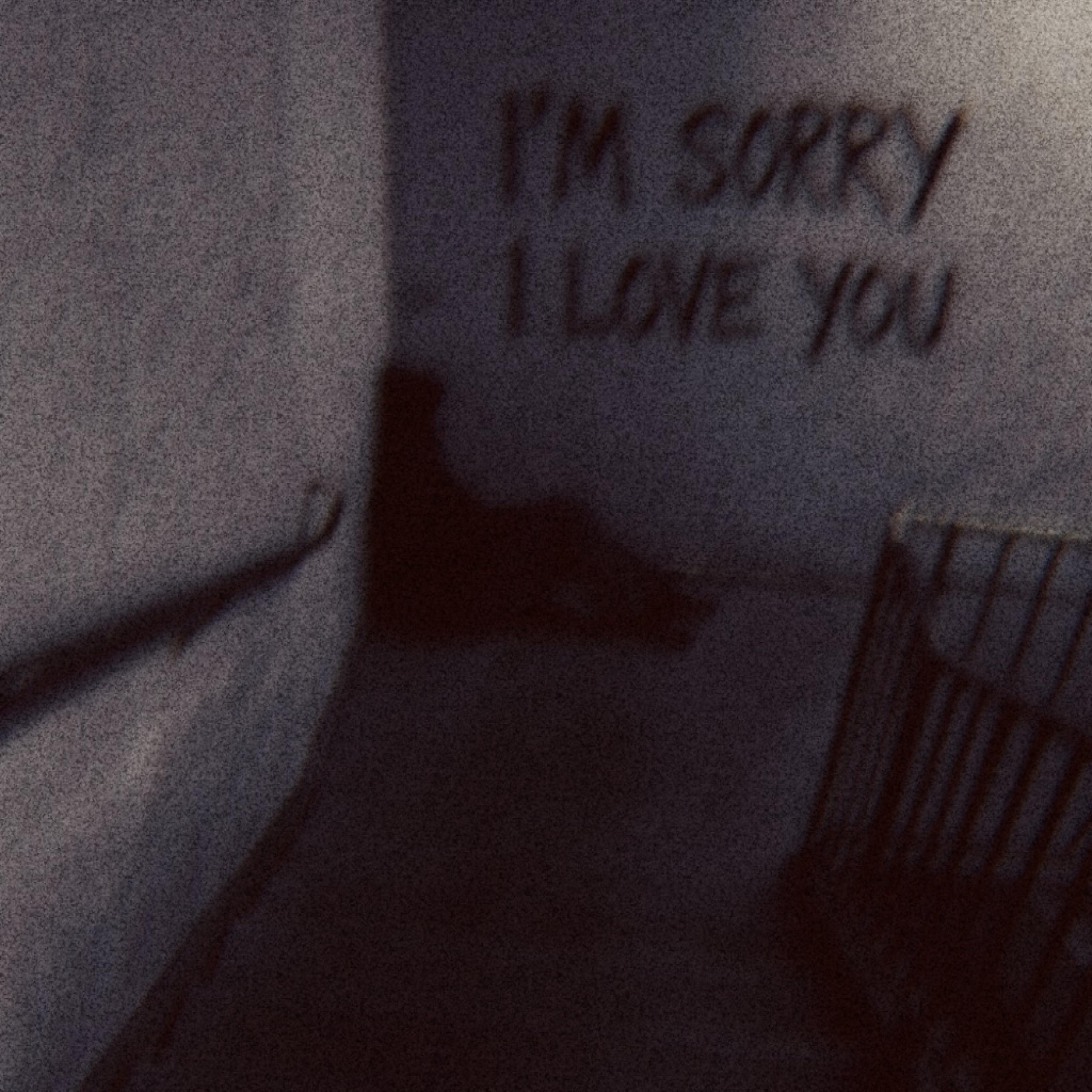 I’M SORRY I LOVE YOU artwork