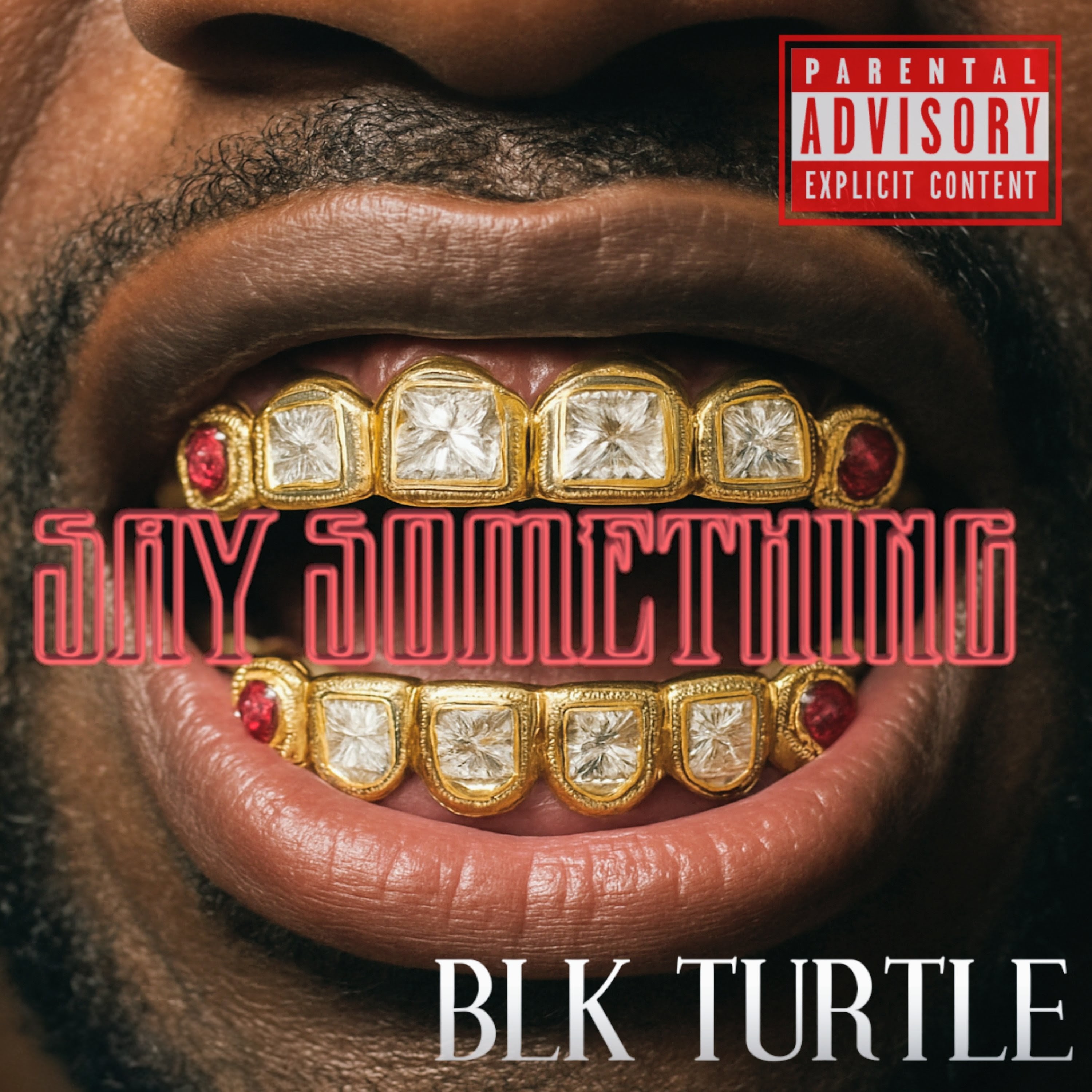 SAY SOMETHING artwork