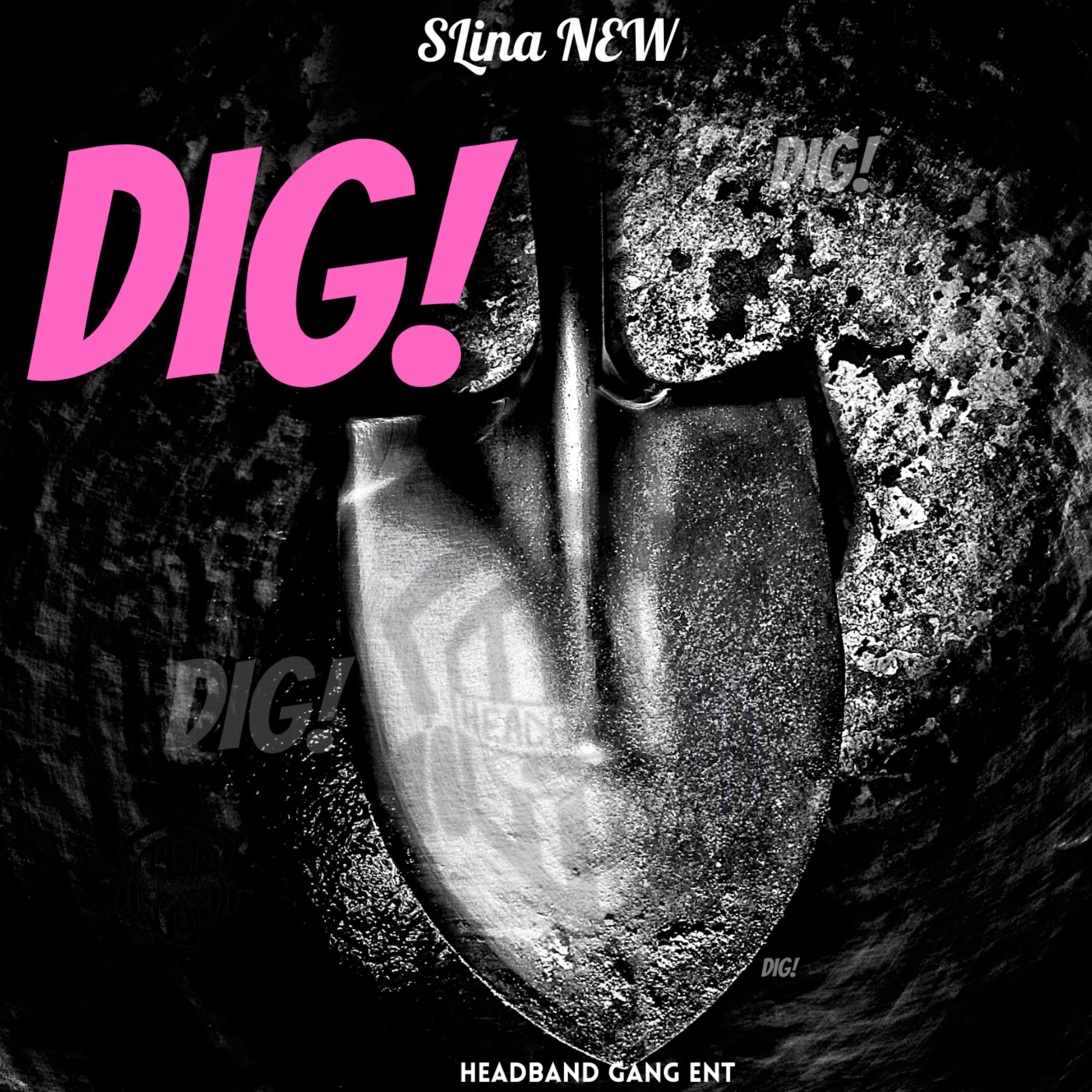 DIG artwork