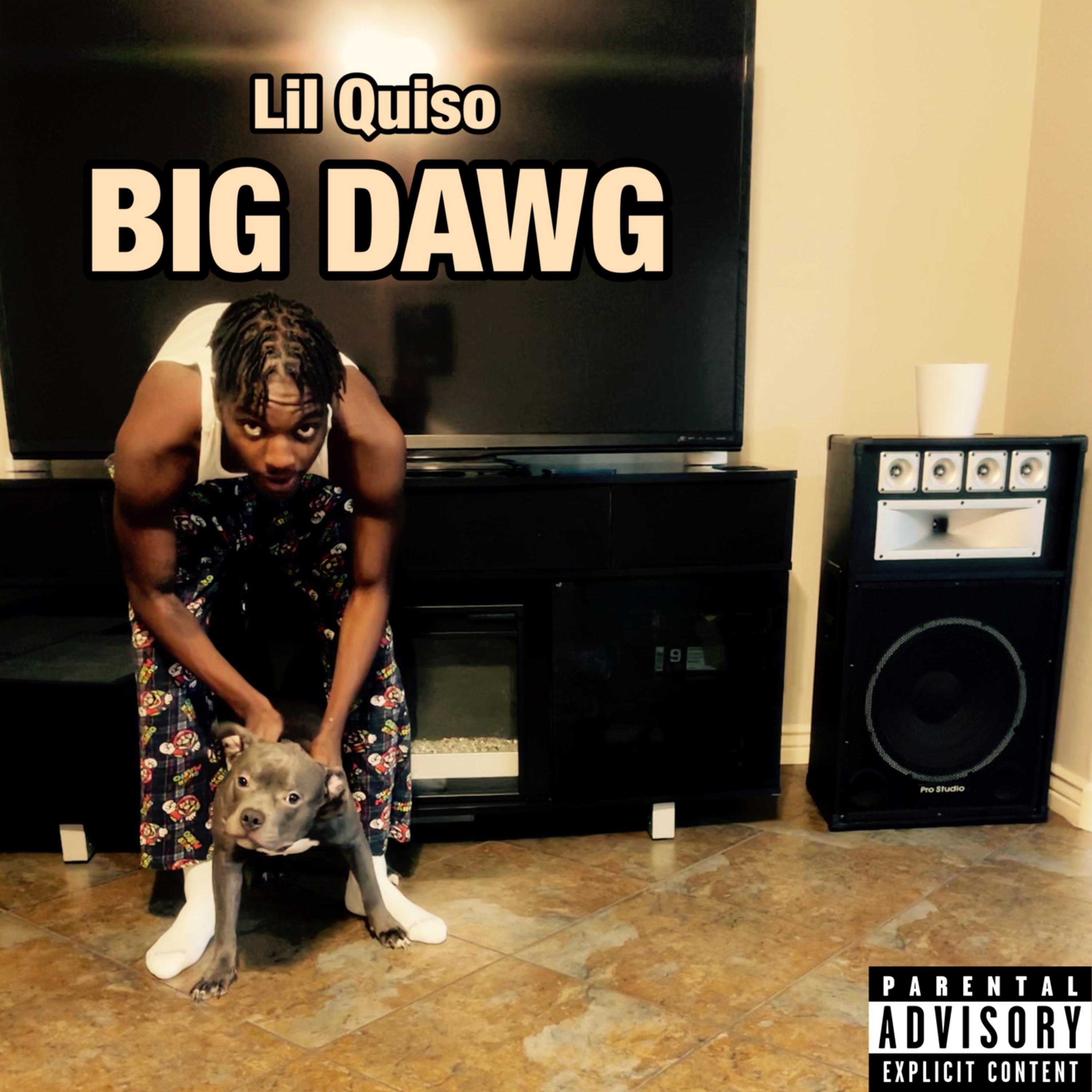 Big Dawg artwork