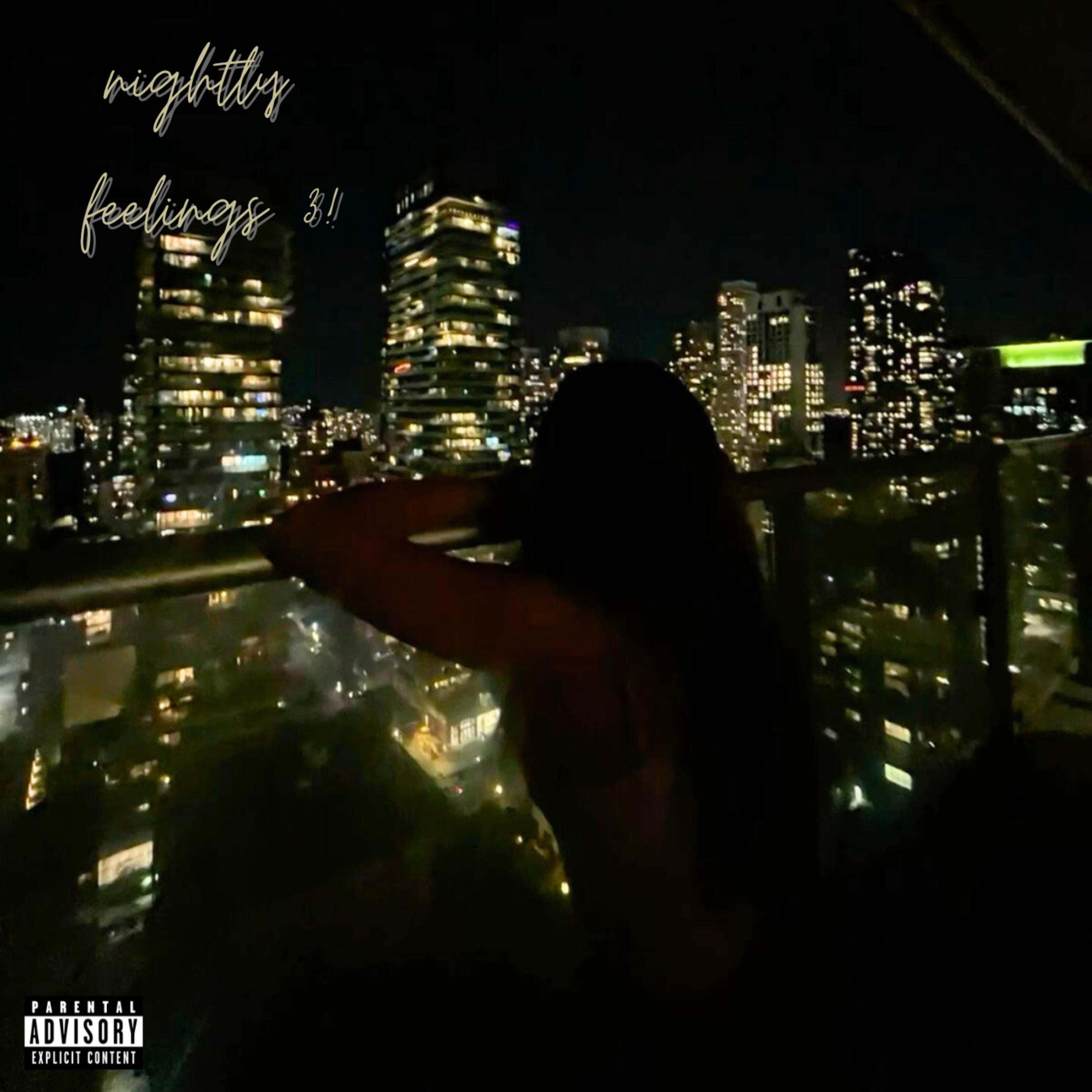 nightly feelings 3! by Casualty! cover art