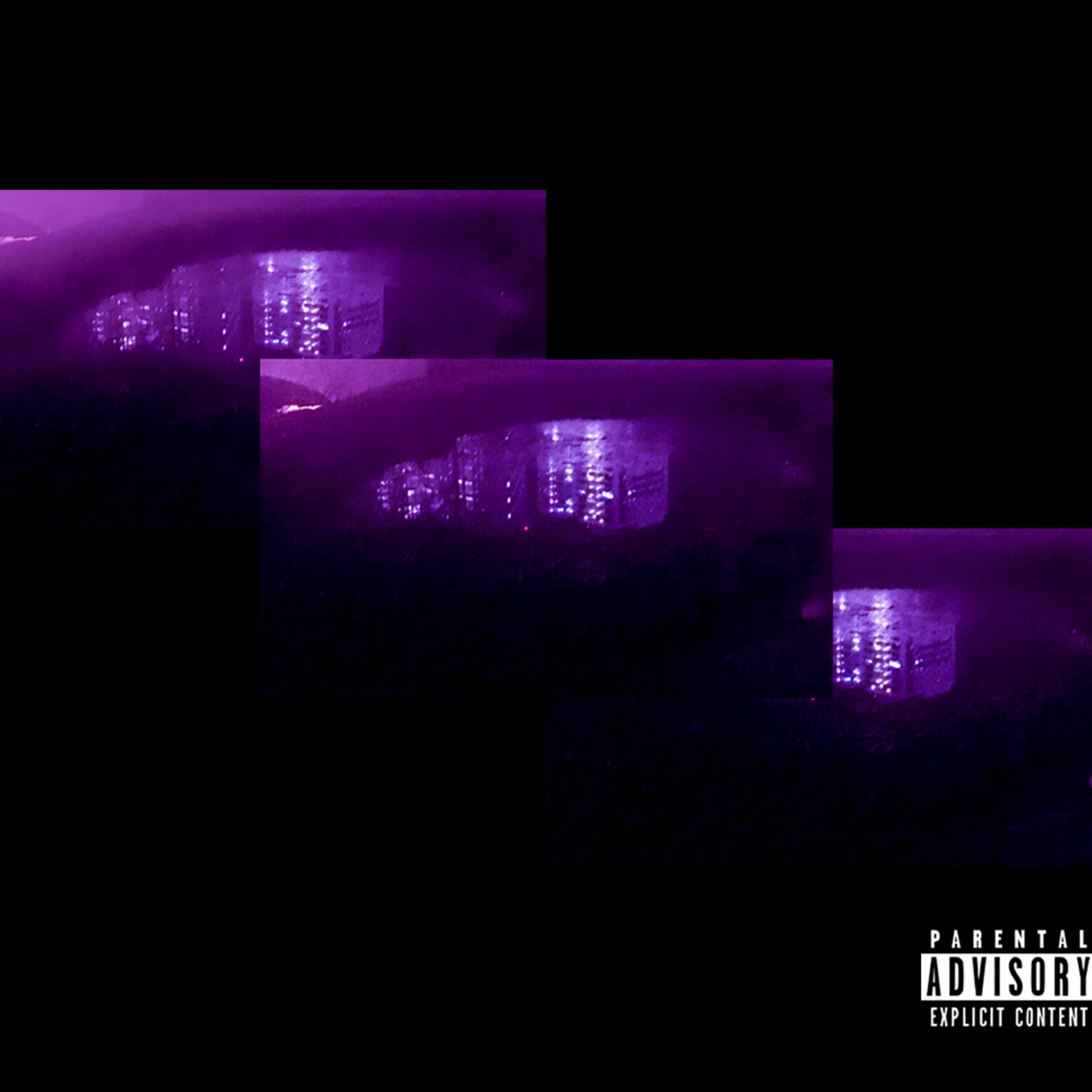Acai Palm by Stino cover art