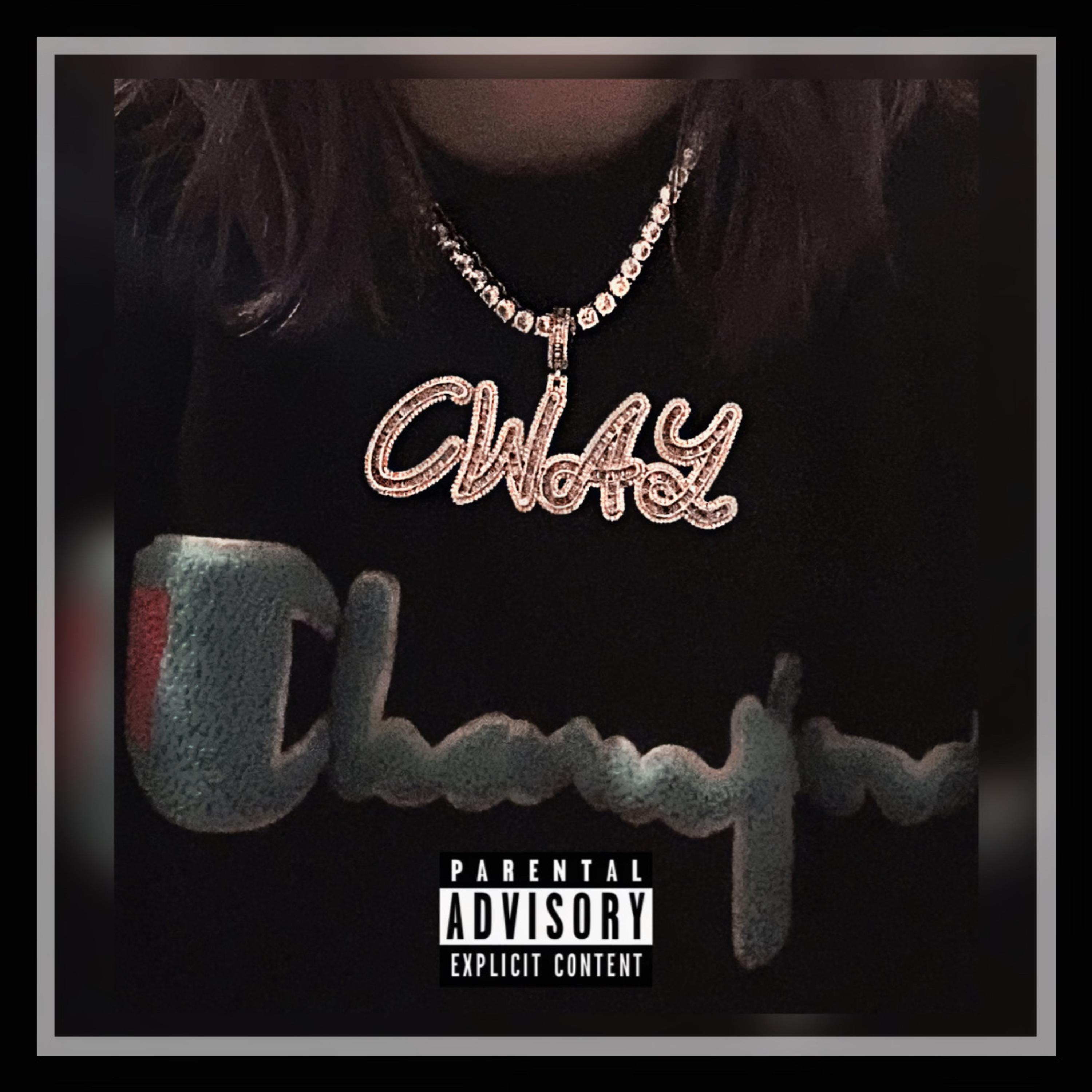 Pain 2 Purpose artwork