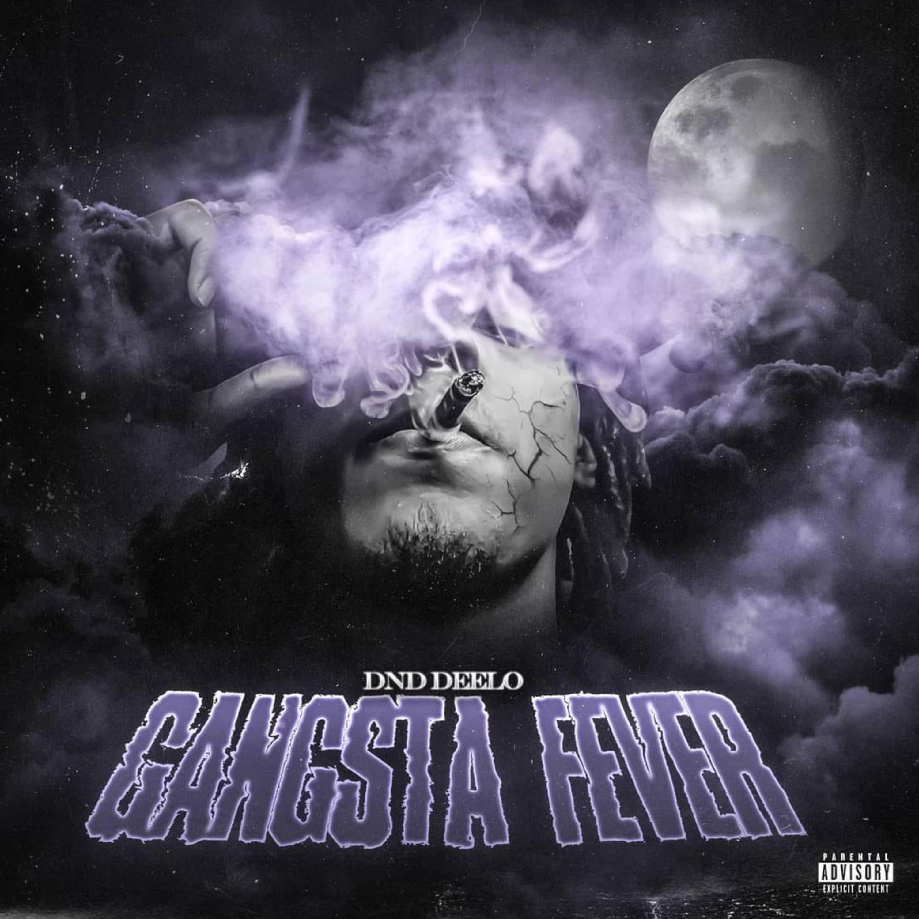 Gangsta Fever artwork