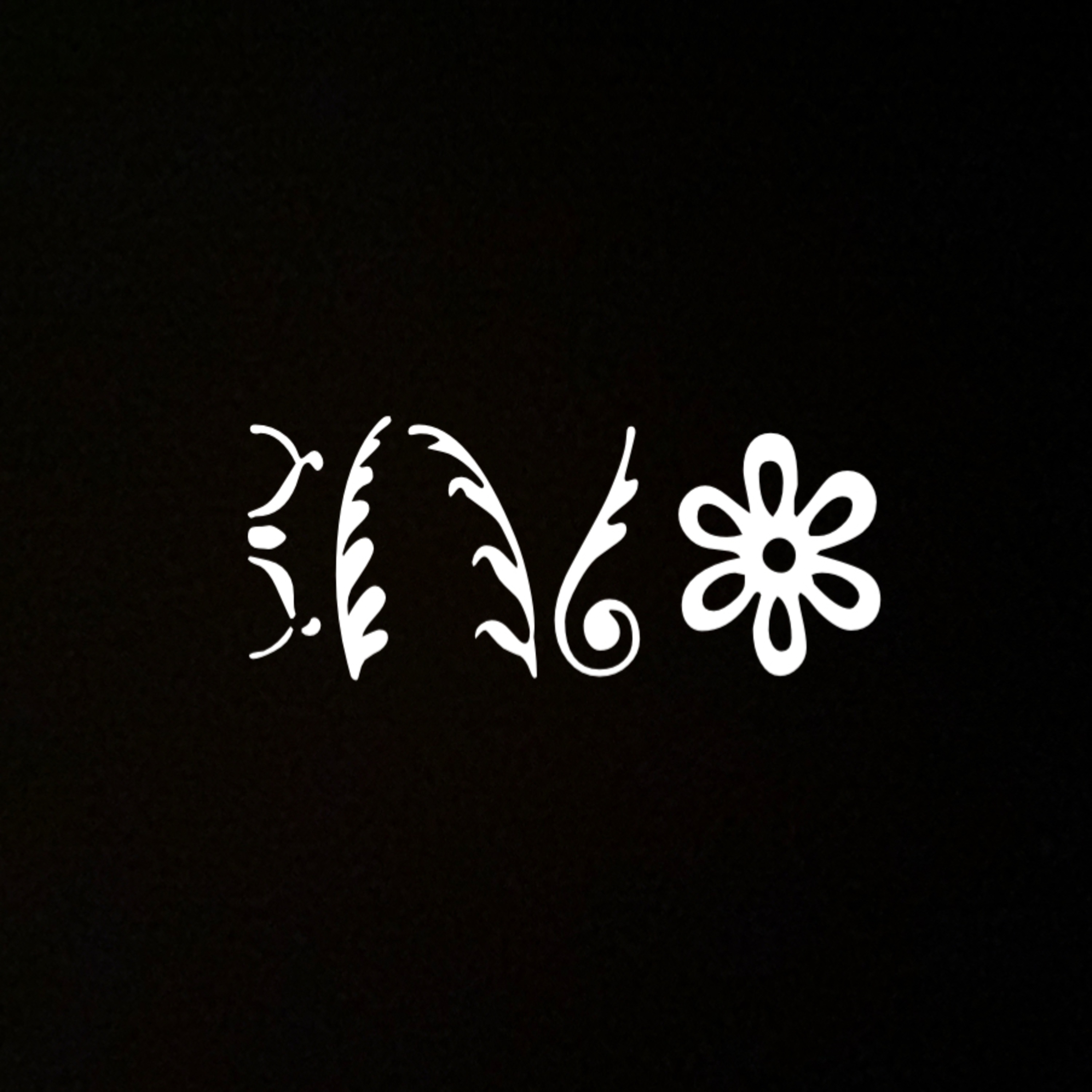 DNSV2 artwork