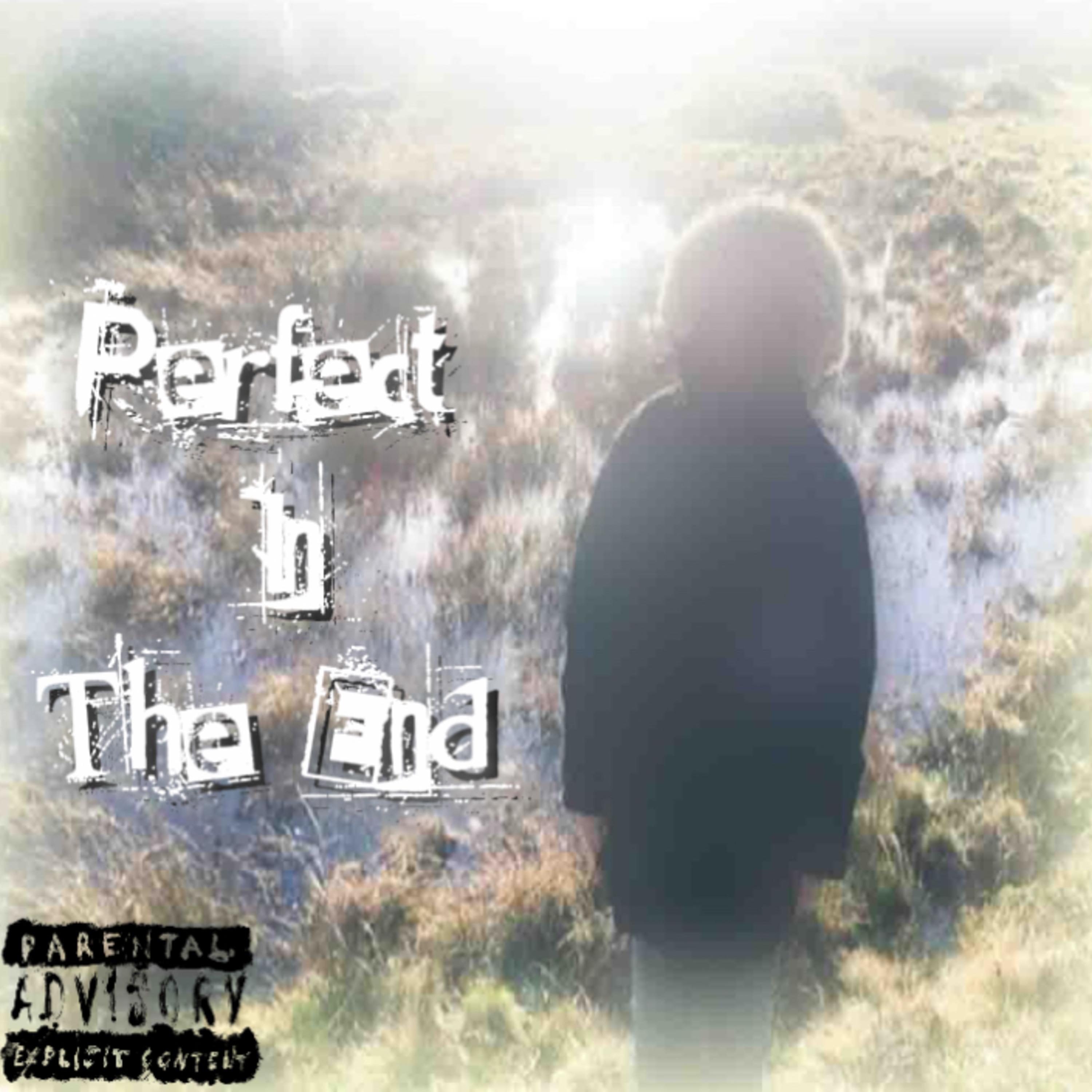 Perfect In The End artwork