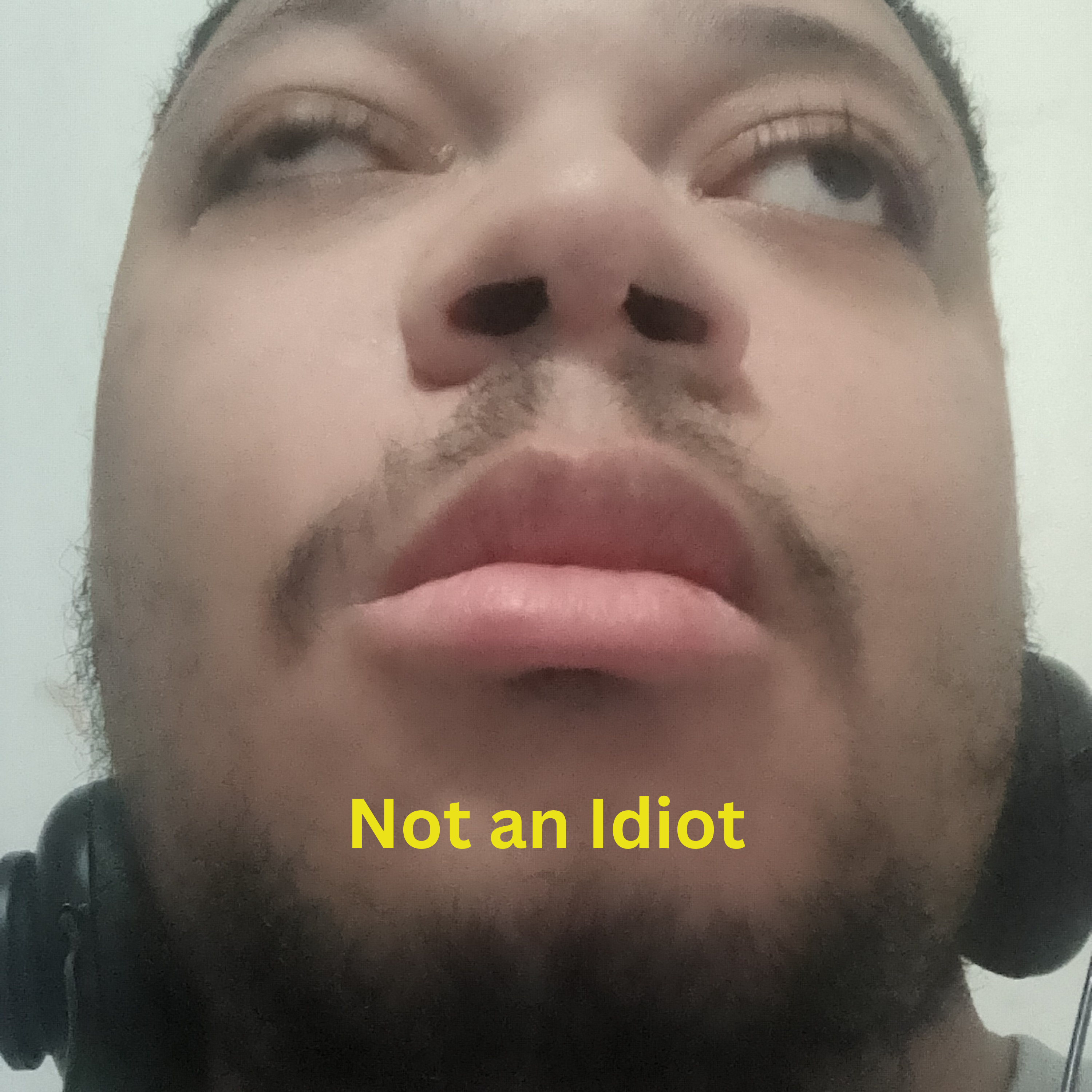 Not an Idiot artwork