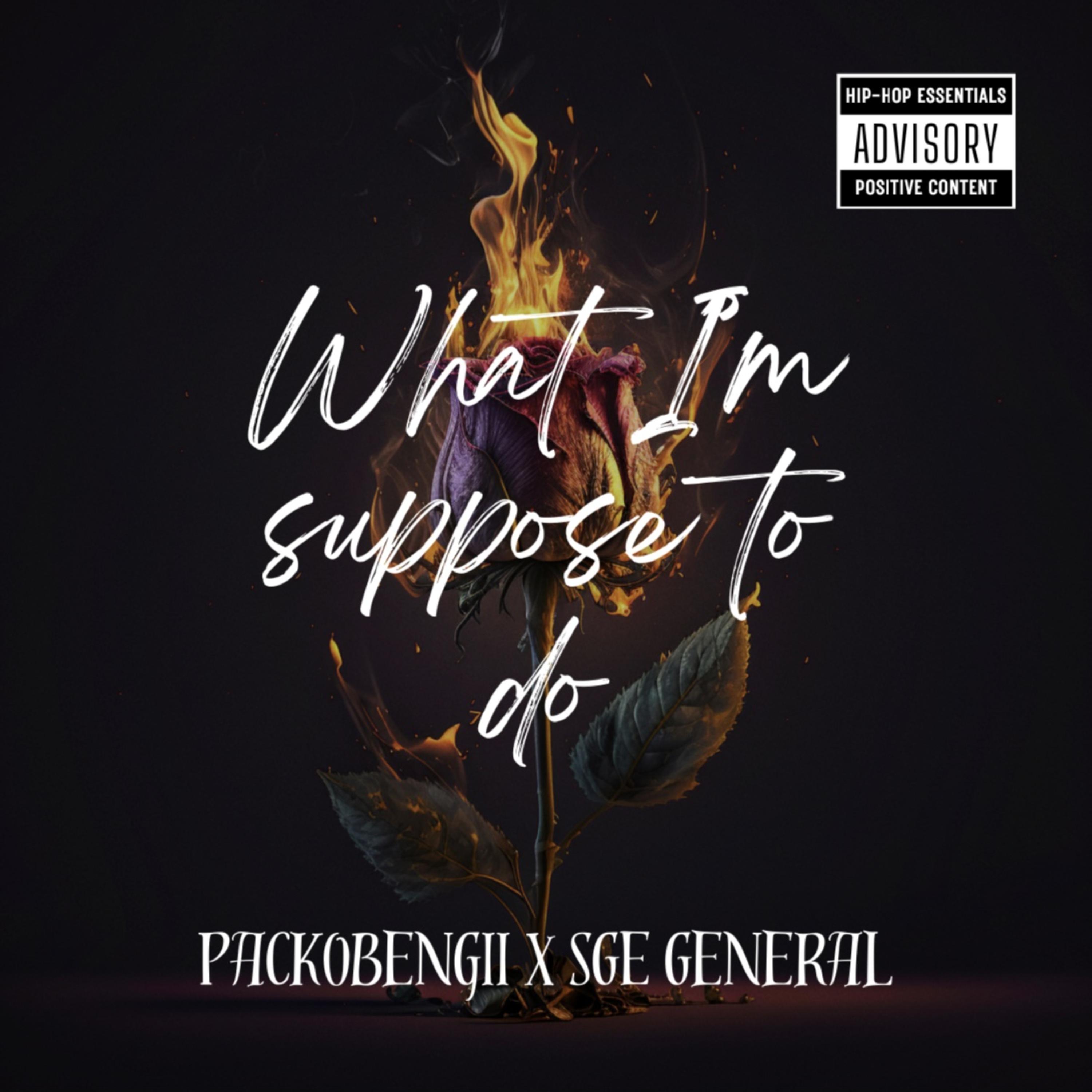 What I’m Suppose To Do artwork