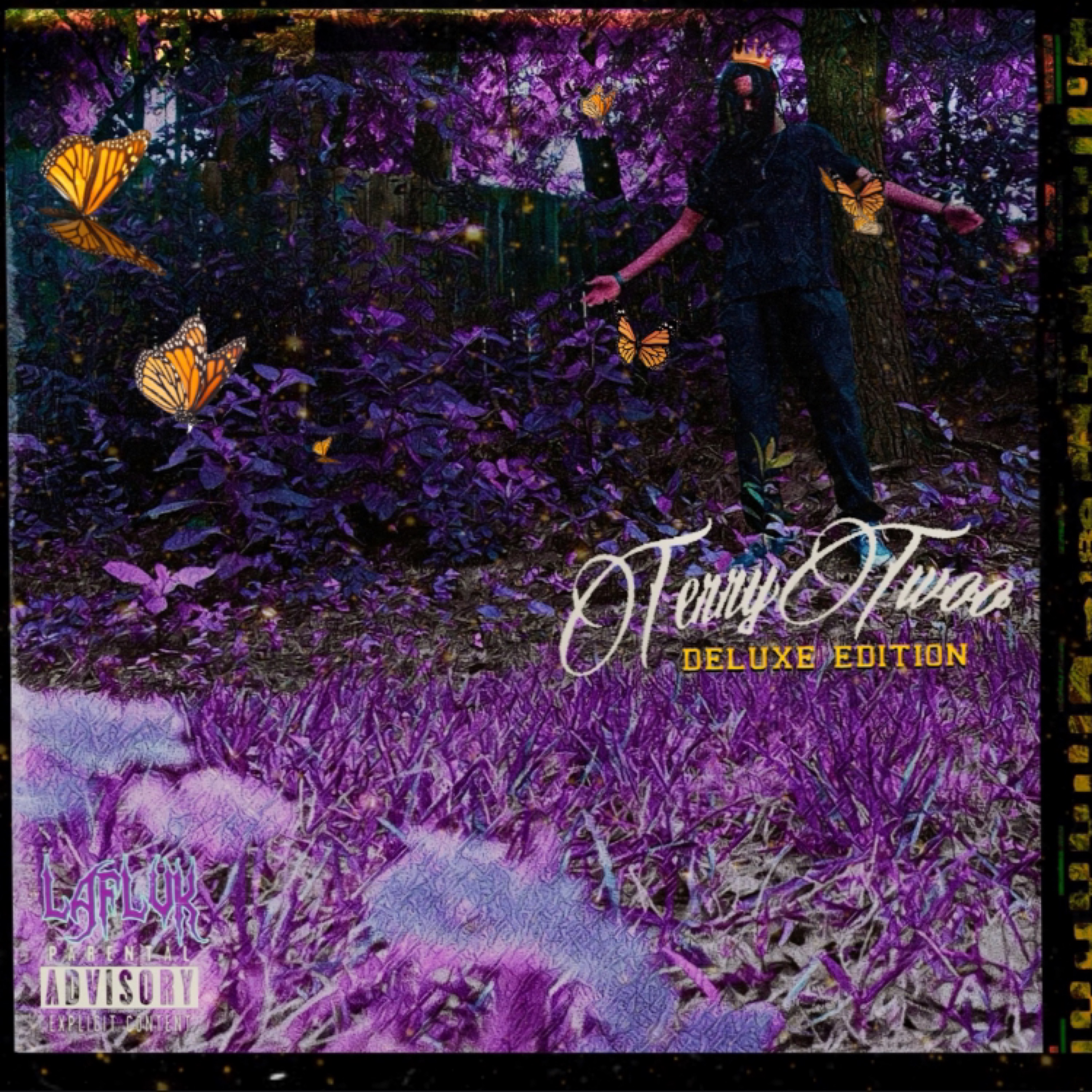 TerryTwoo (Deluxe) artwork
