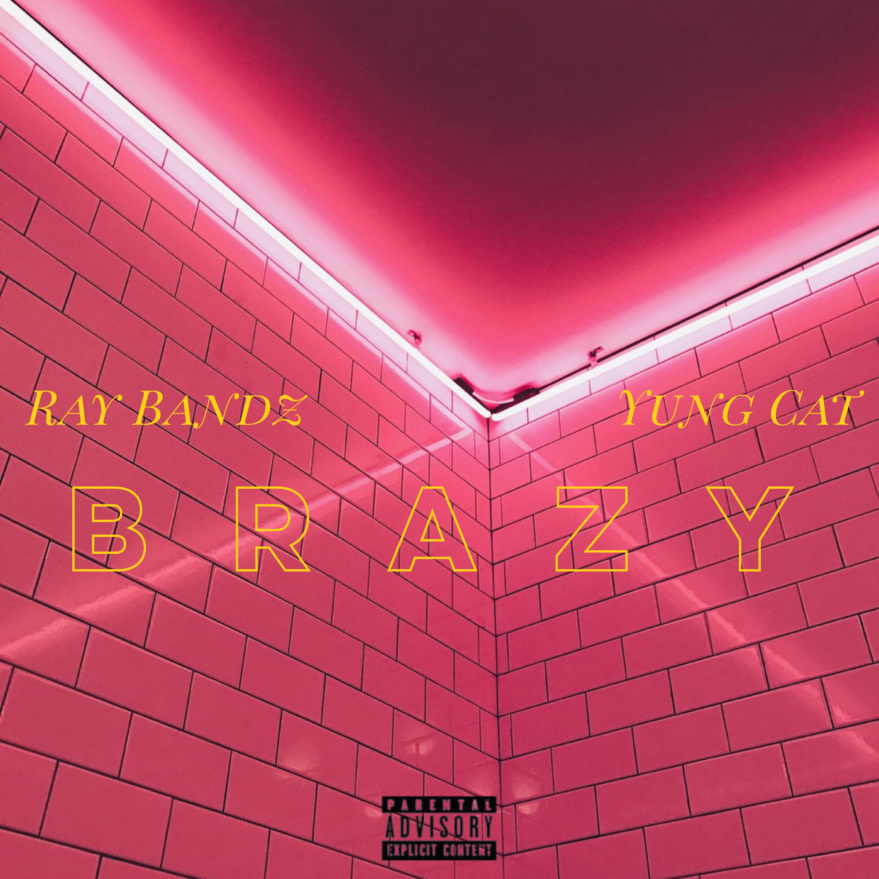 BRAZY artwork