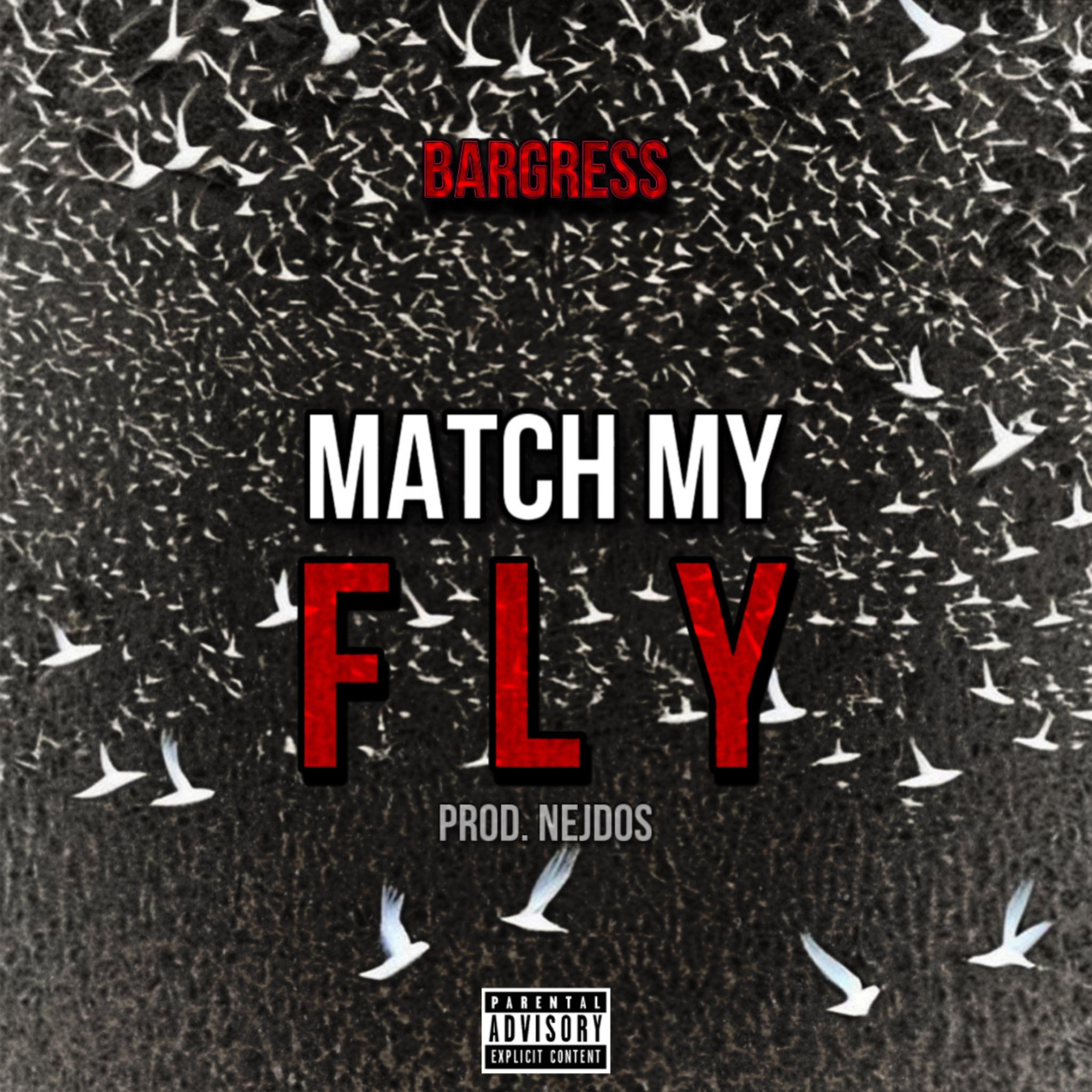 Match My Fly artwork