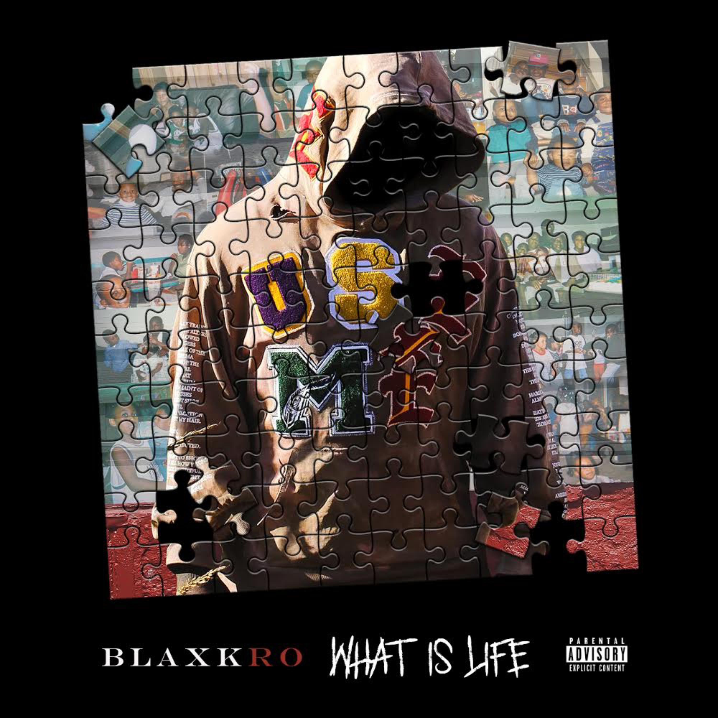 What Is Life by BlaxkRo cover art