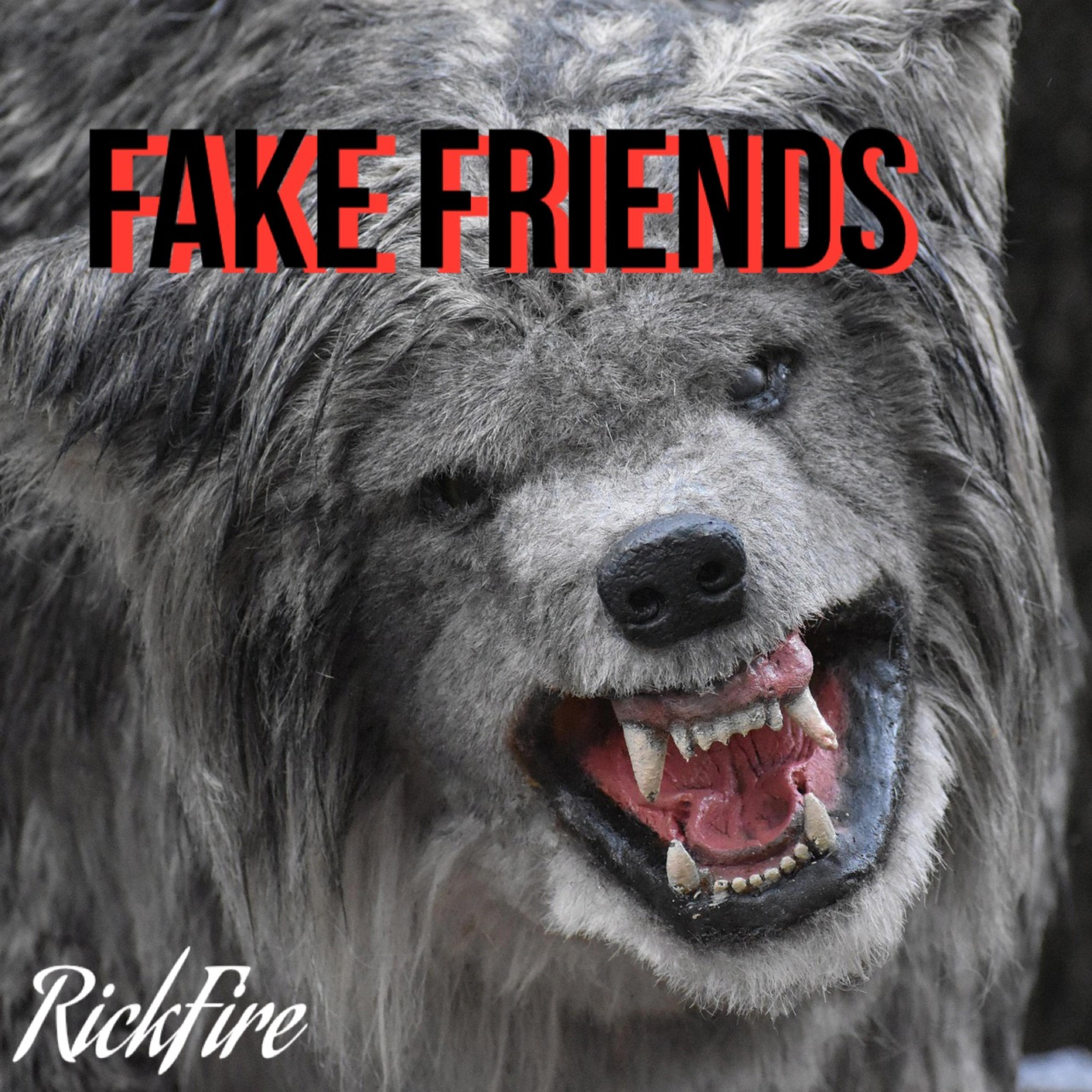 Fake Friends artwork