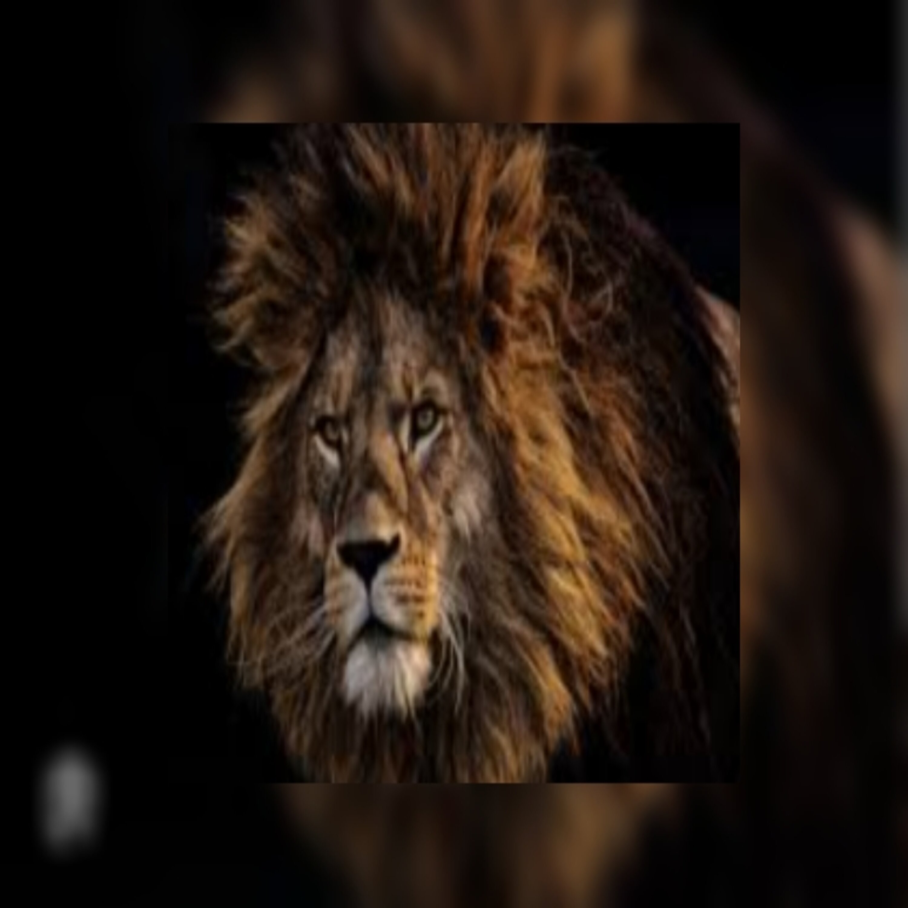 Fuckin Animal artwork