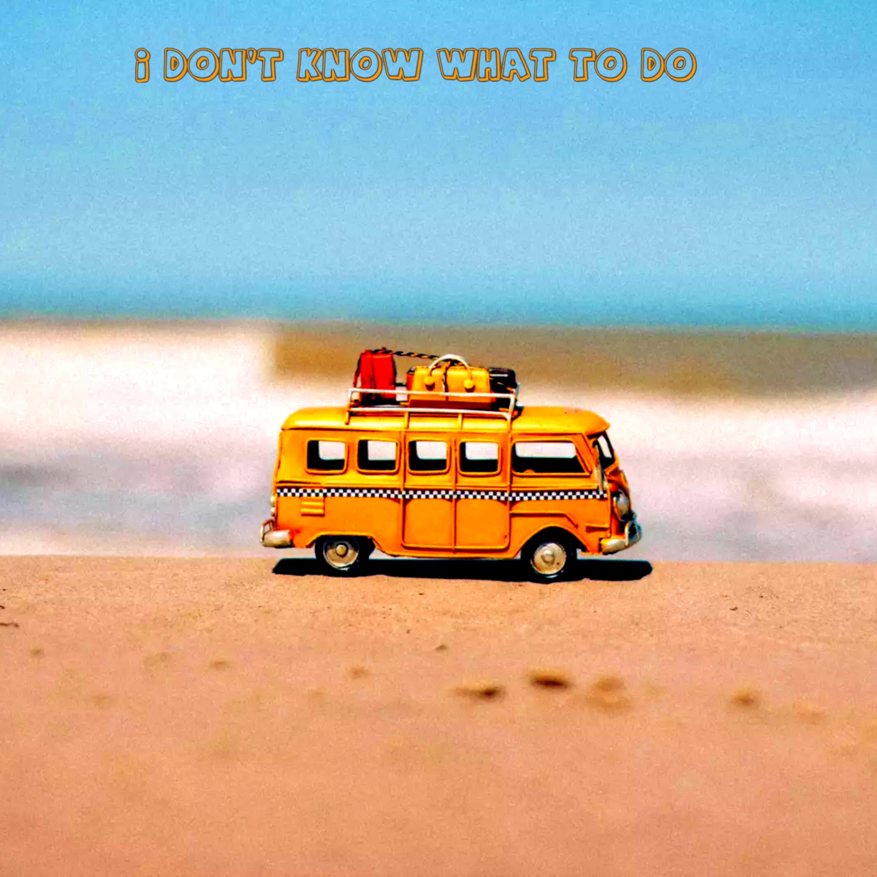 I Don't Know What To Do artwork