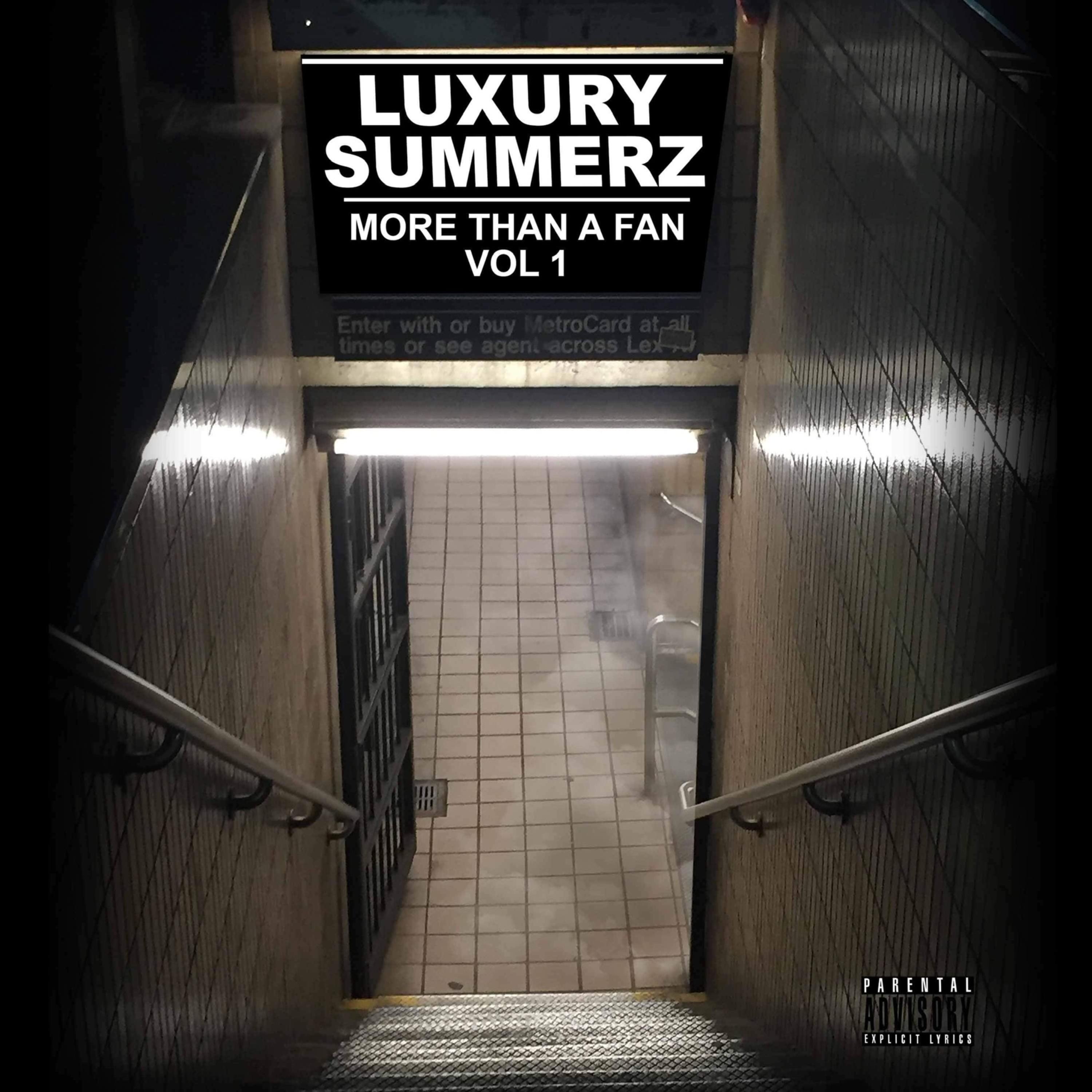 More Than A Fan Volume 1 artwork