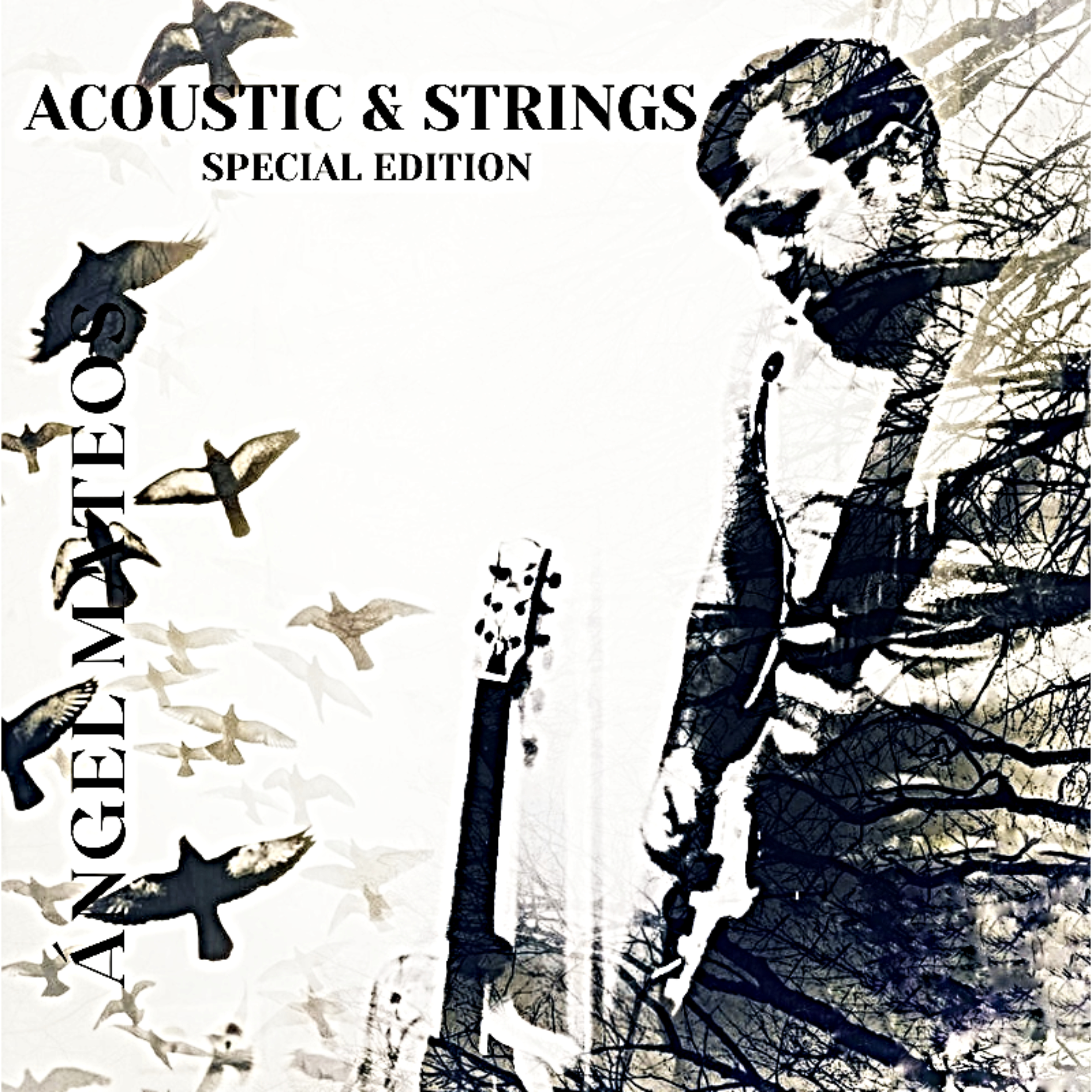 ACOUSTIC & STRINGS EDICIÓN ESPECIAL by Ángel Mateos cover art