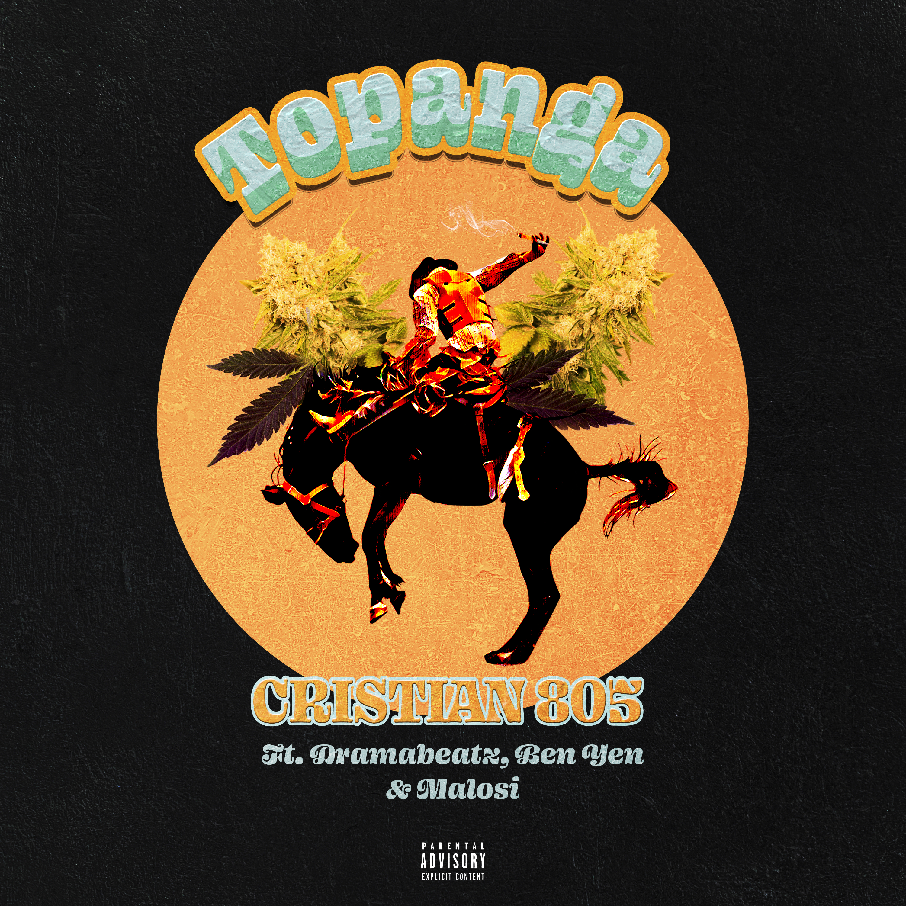 Topanga artwork